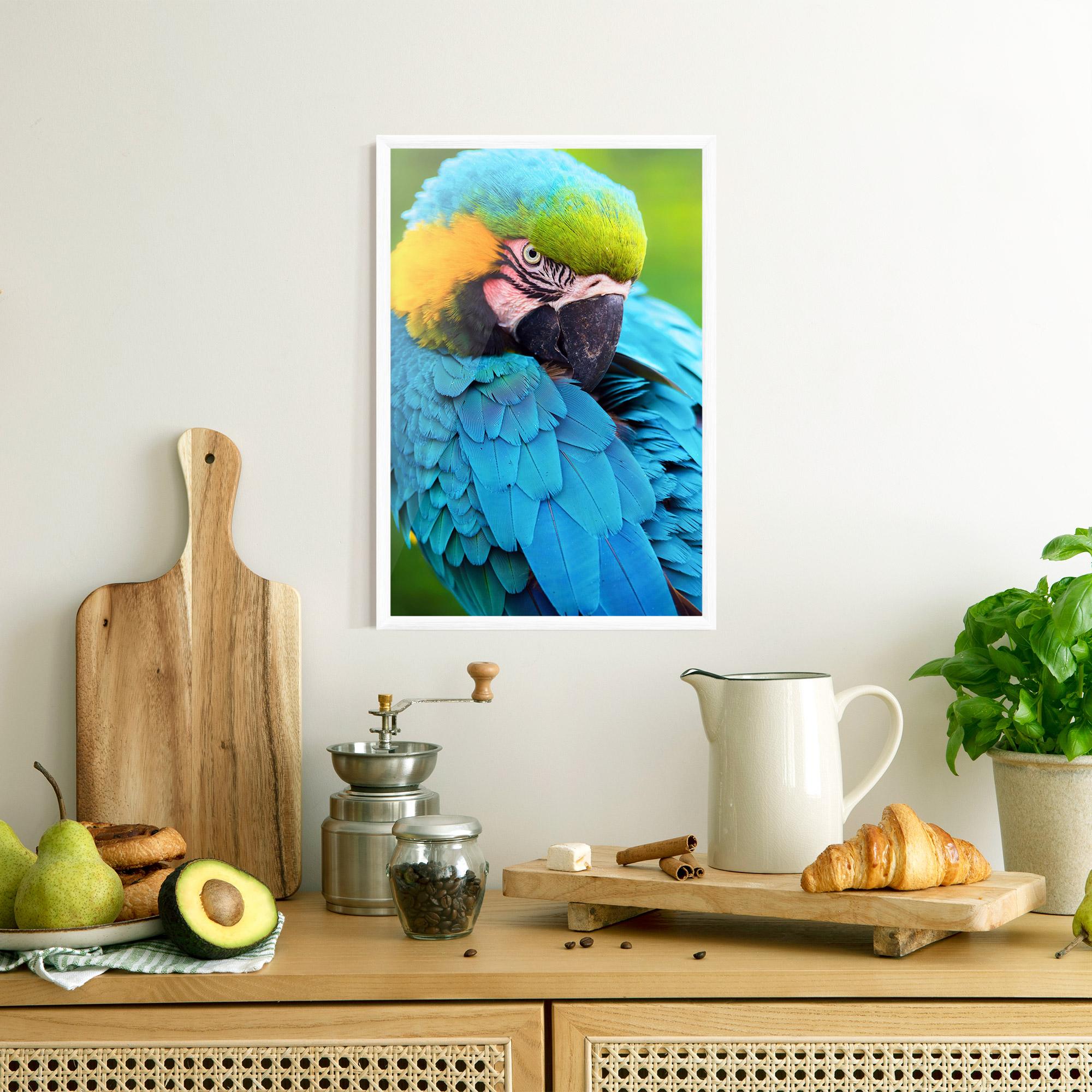 Keretezett Poszter Blue Parrot mockup 8