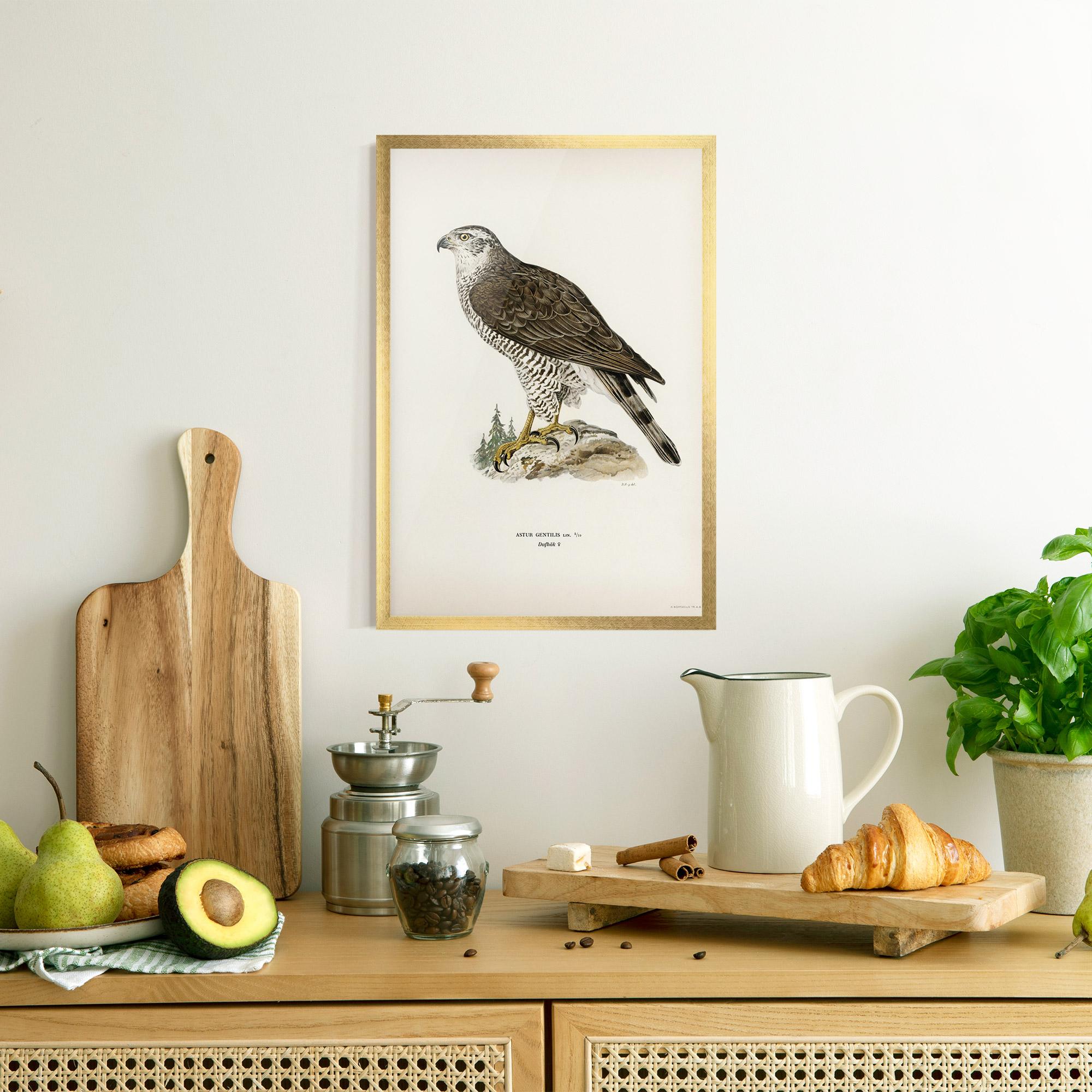 Keretezett Poszter Astur Gentilis mockup 8