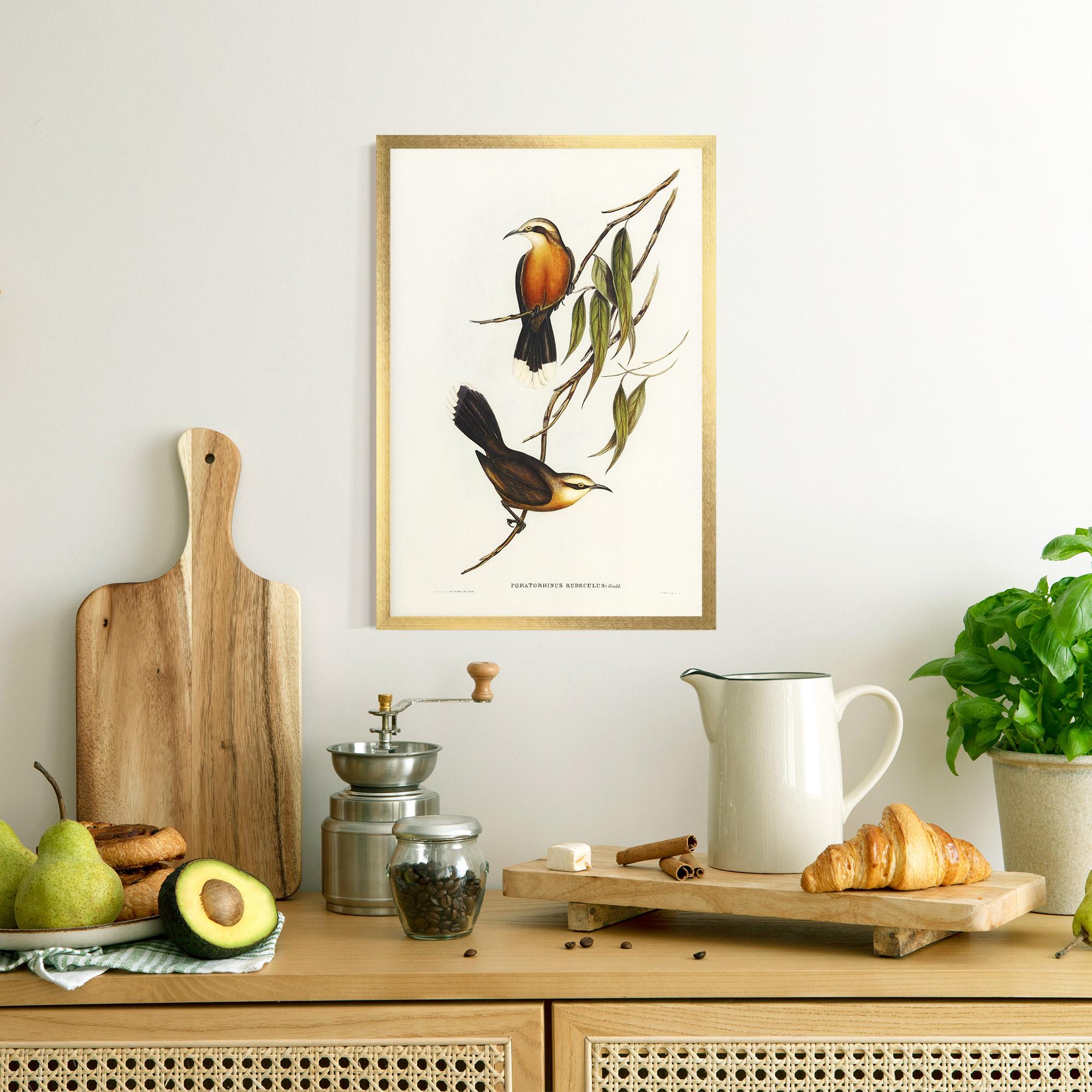 Keretezett Poszter Red Pomatorhinus mockup 8