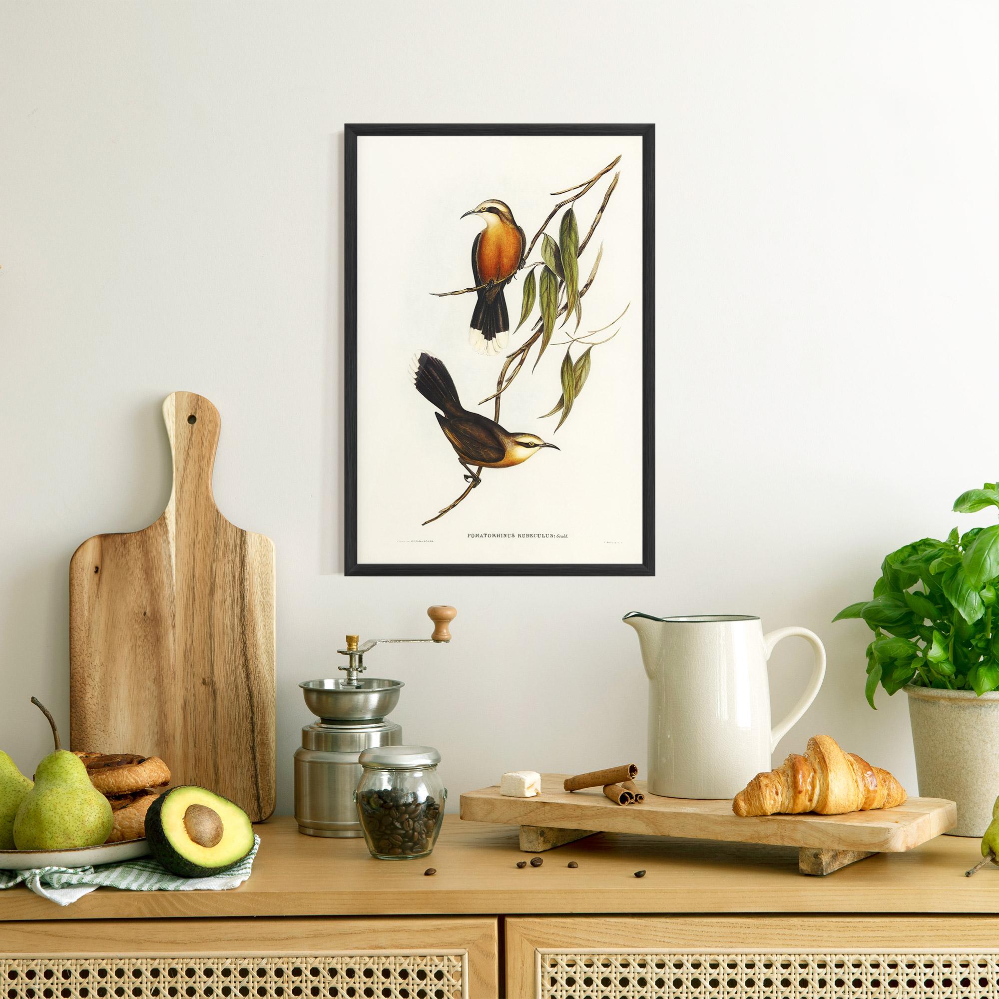 Keretezett Poszter Red Pomatorhinus mockup 8