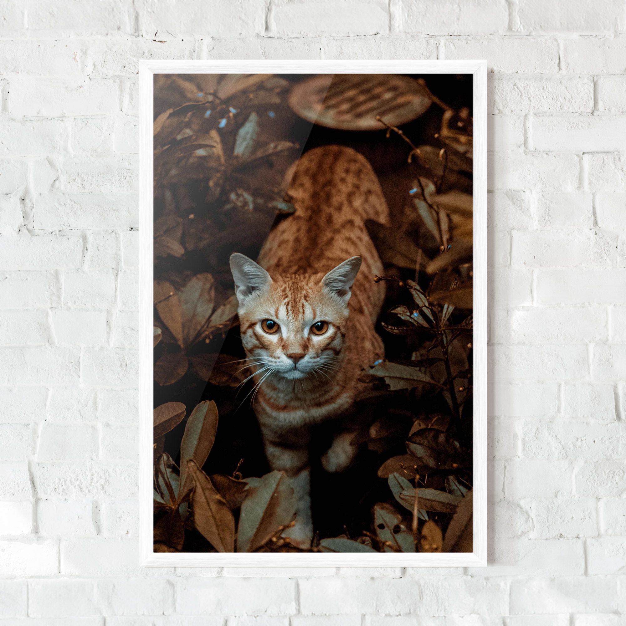 Autumn Orange Cat mockup 0