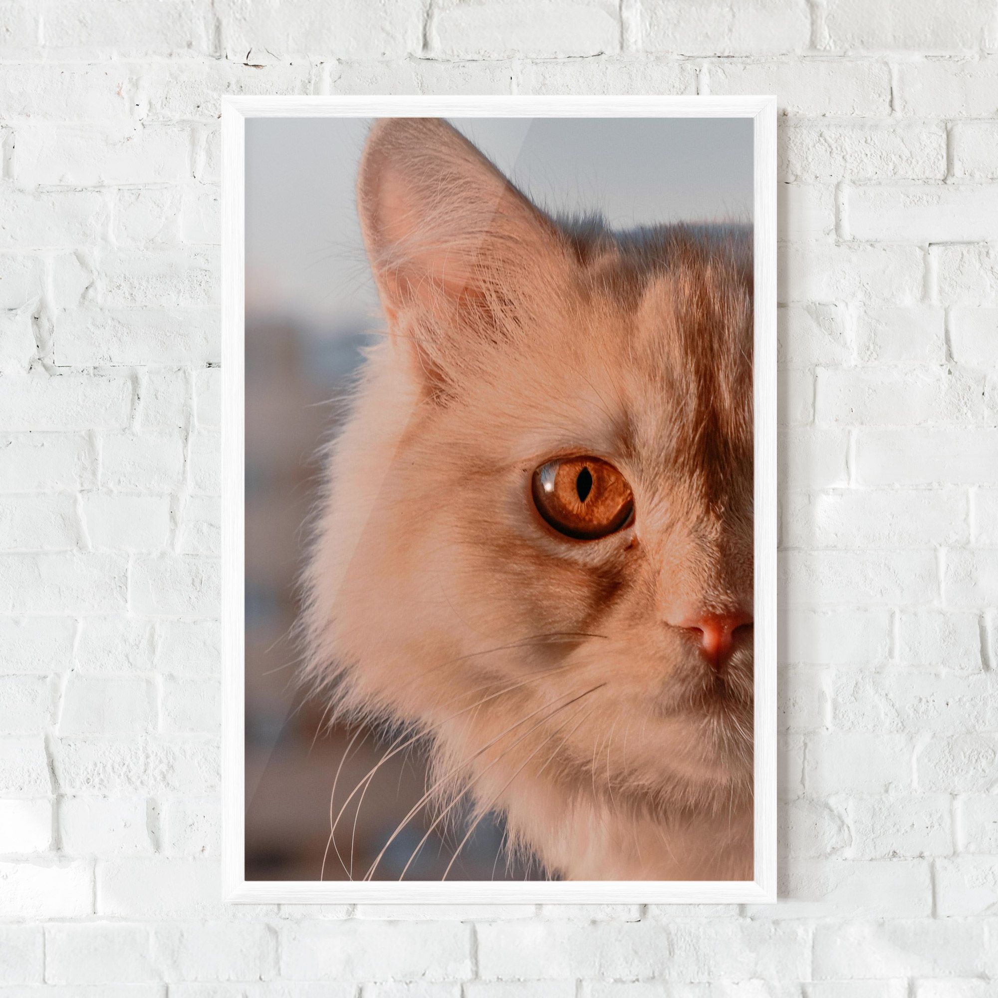 Cat Eye In Sun mockup 0