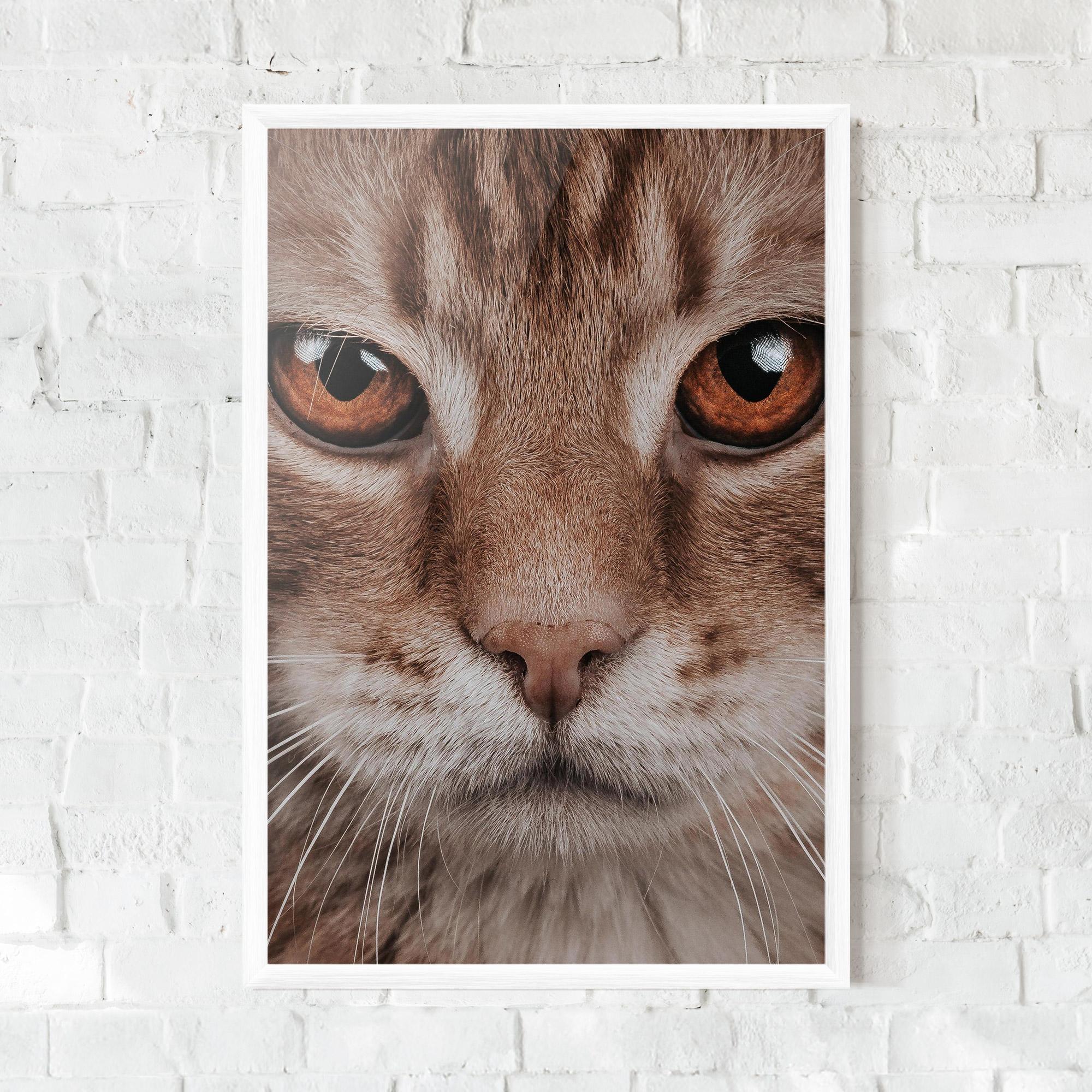 Keretezett Poszter Fire Eyes Cat mockup 0