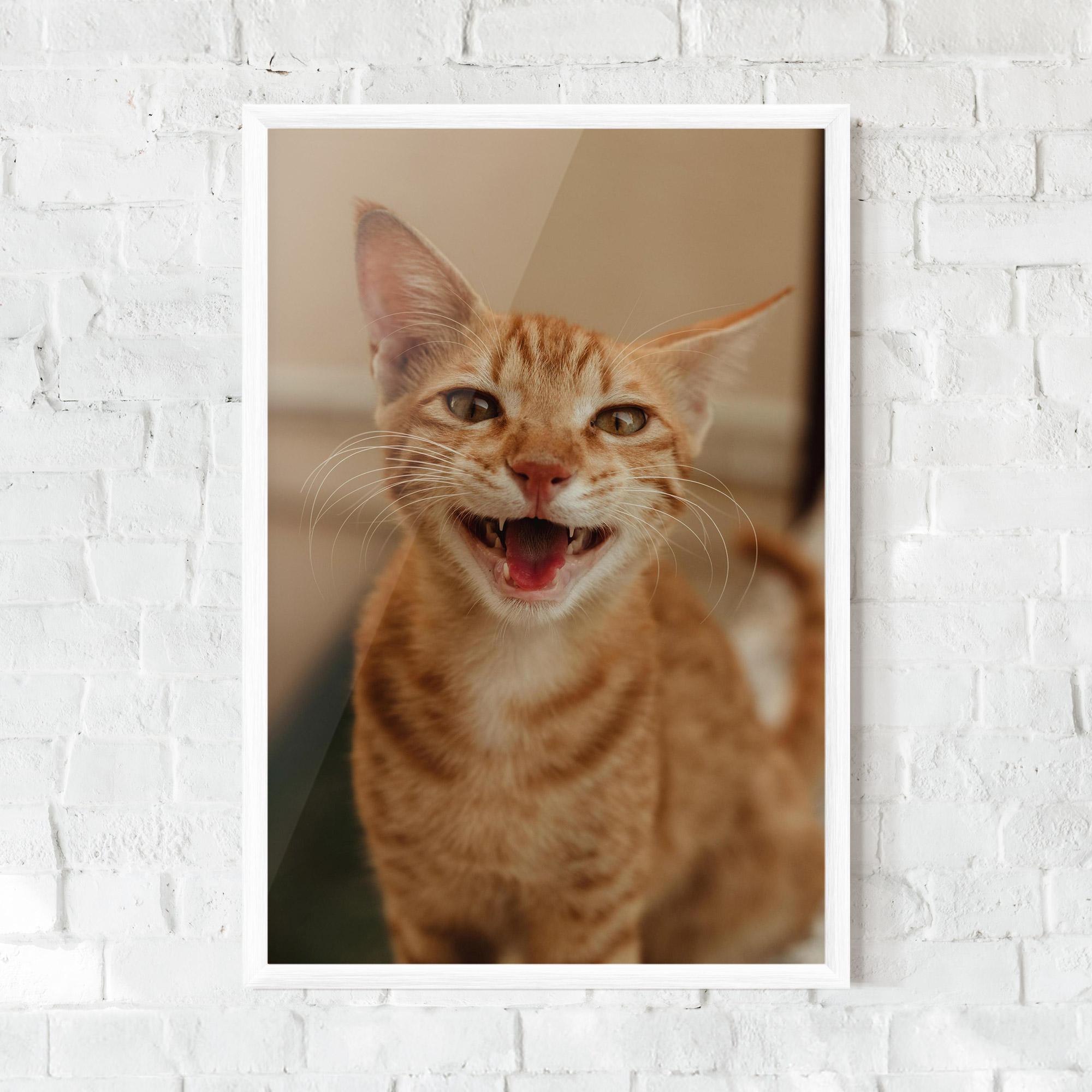 Keretezett Poszter Orange Cat Smiling mockup 0