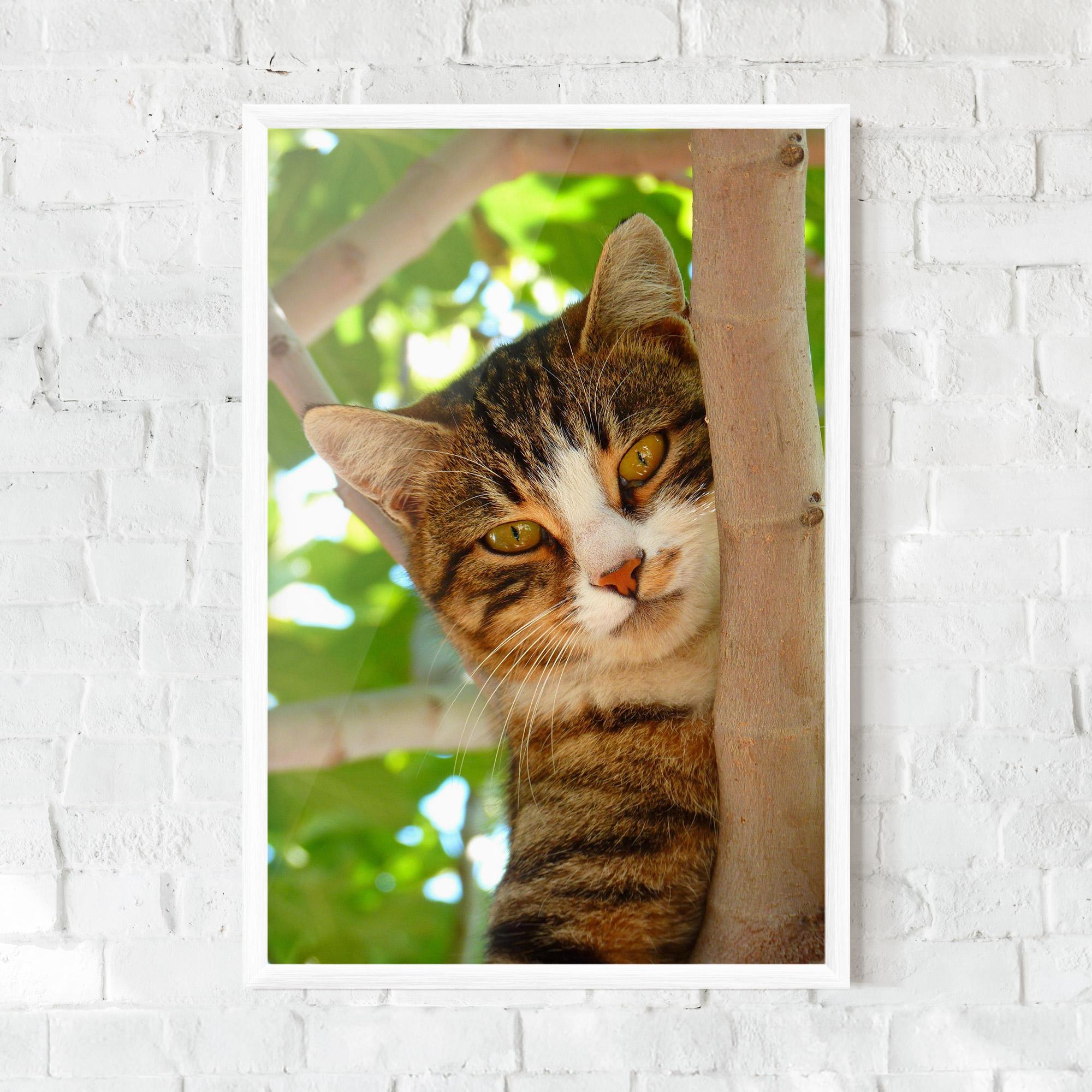 Keretezett Poszter Tree Cat mockup 0