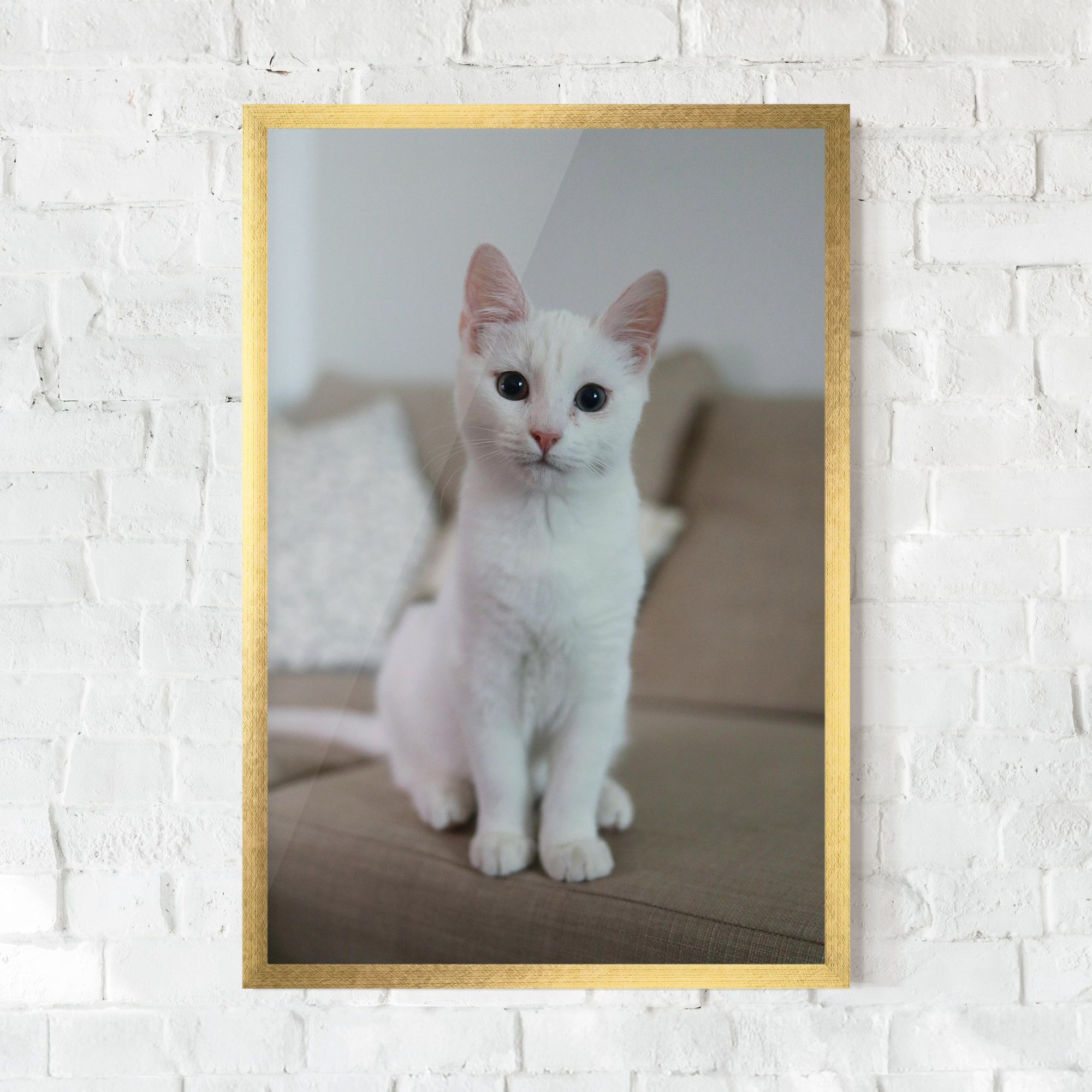Beautiful White Cat mockup 0