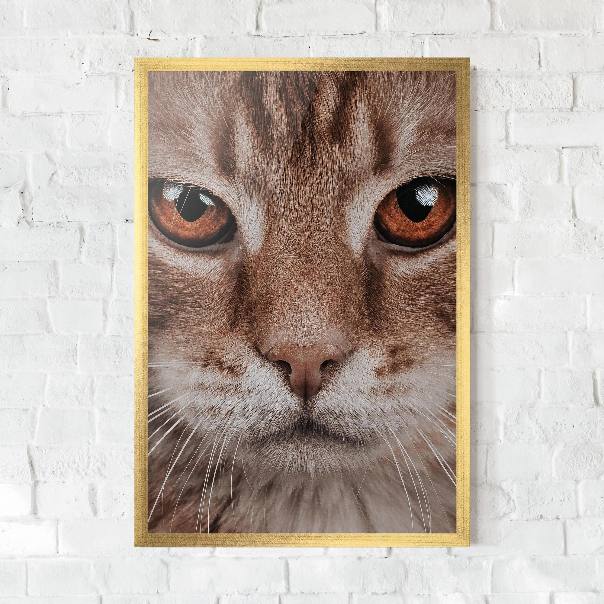 Keretezett Poszter Fire Eyes Cat mockup 0