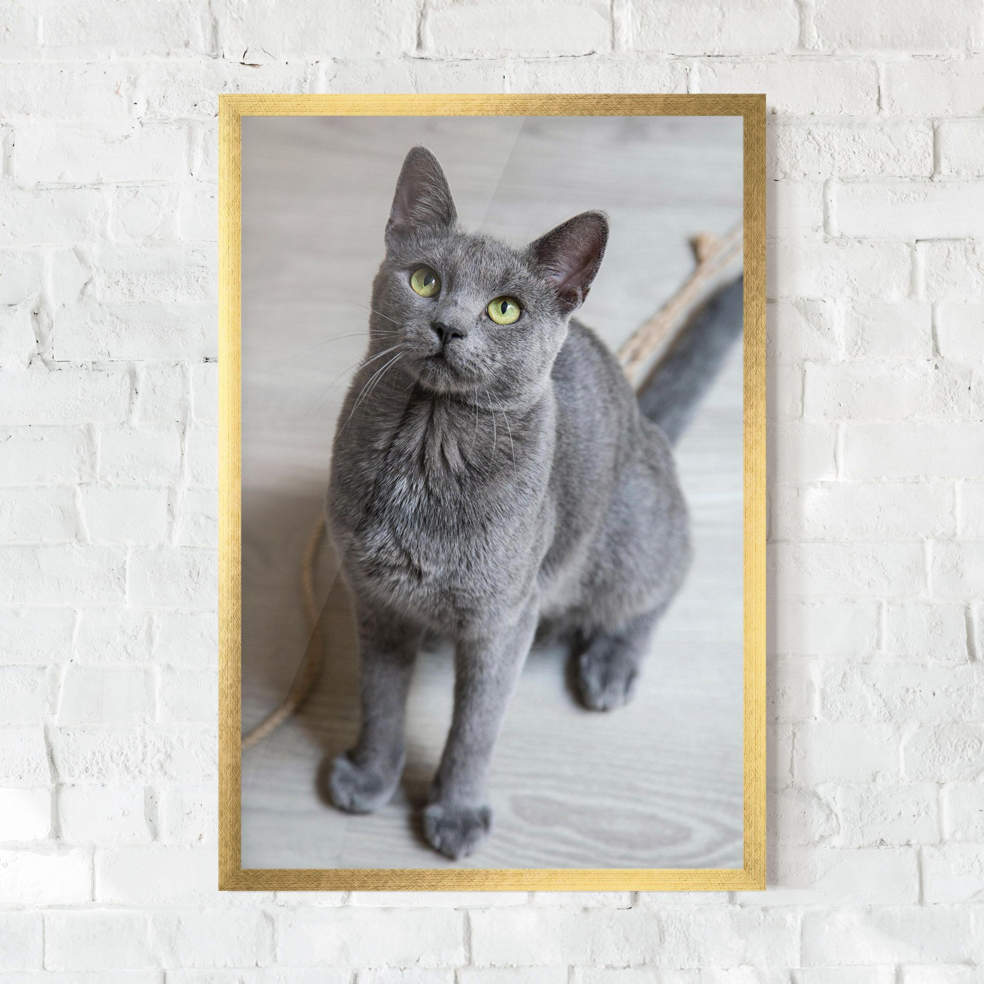 Grey Green Cat Eyes mockup 0