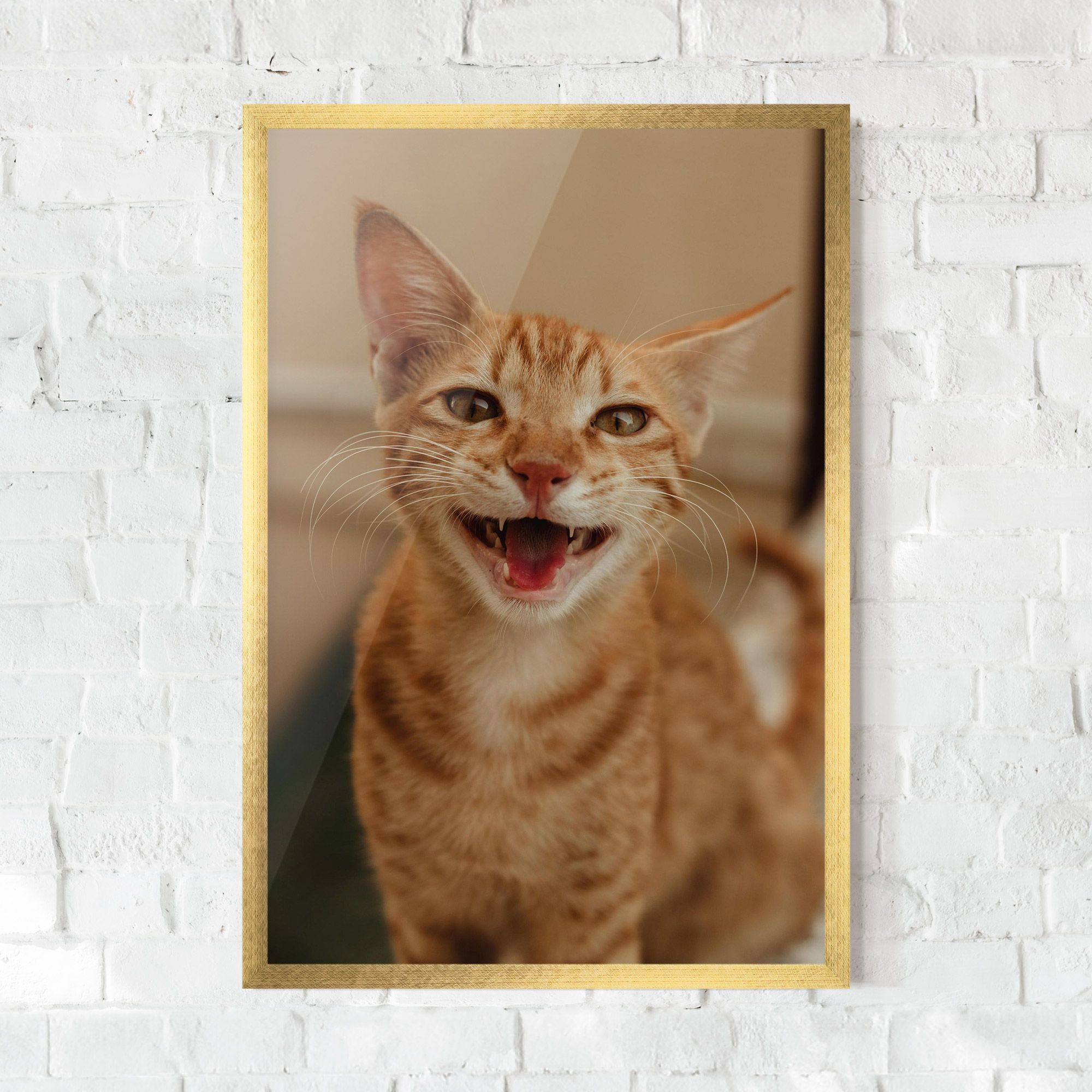 Orange Cat Smiling mockup 0