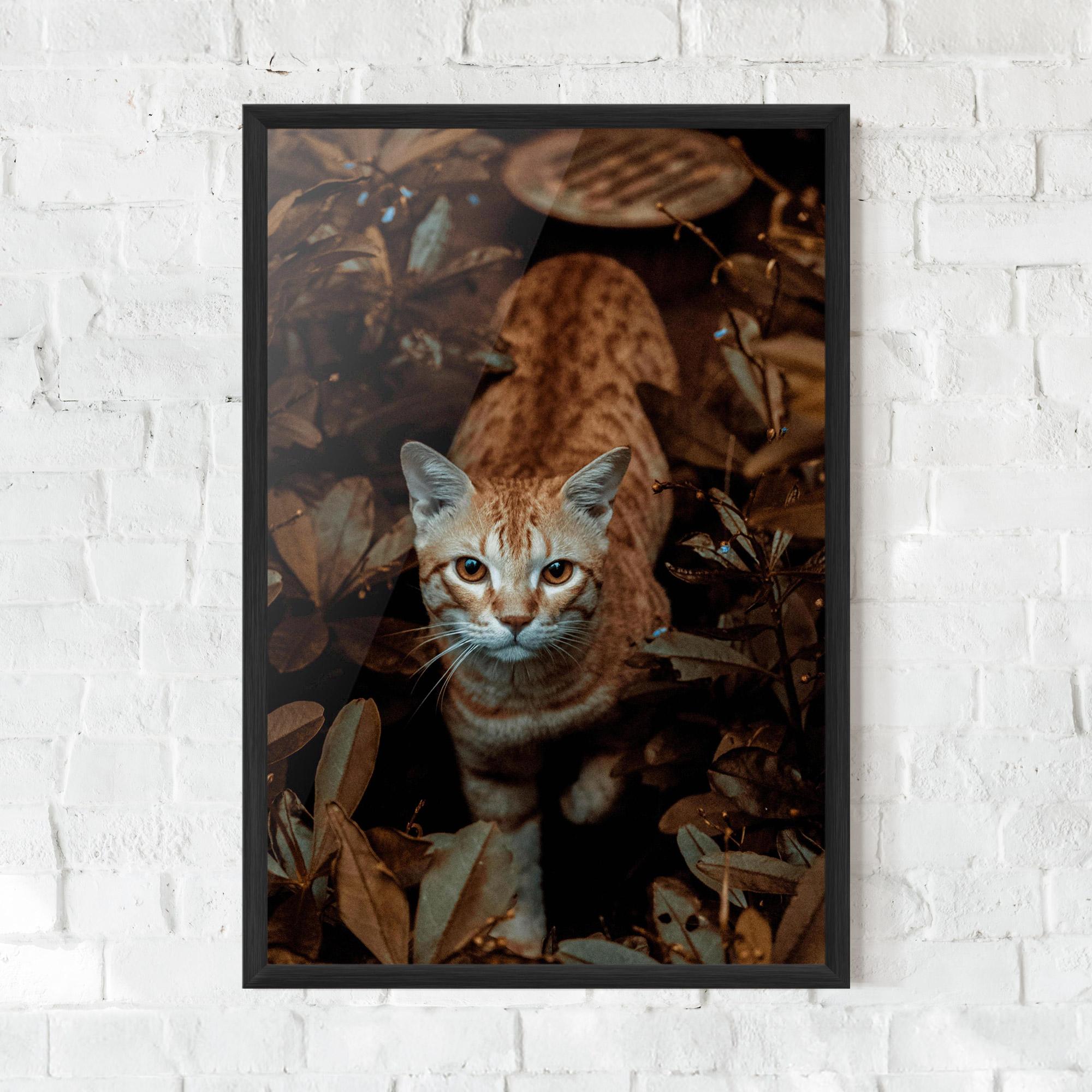Keretezett Poszter Autumn Orange Cat mockup 0