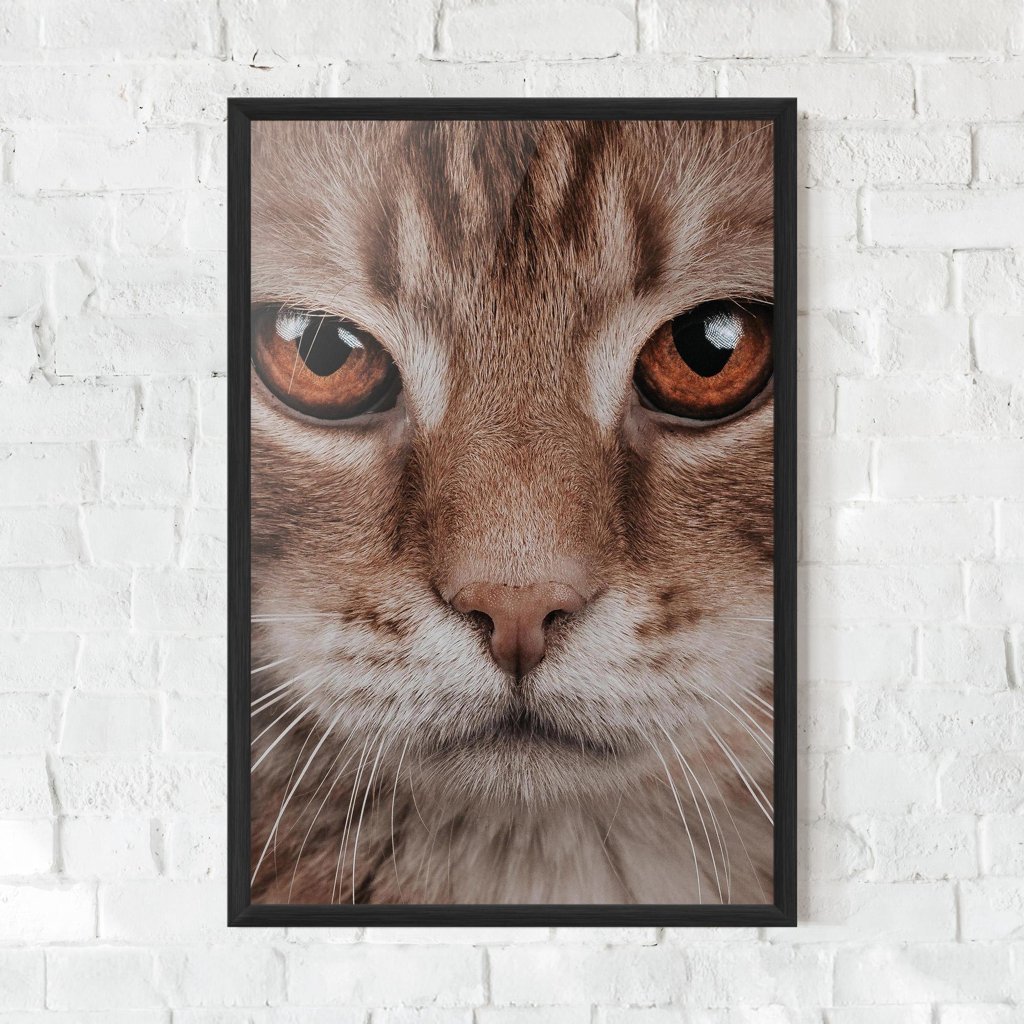 Keretezett Poszter Fire Eyes Cat mockup 0
