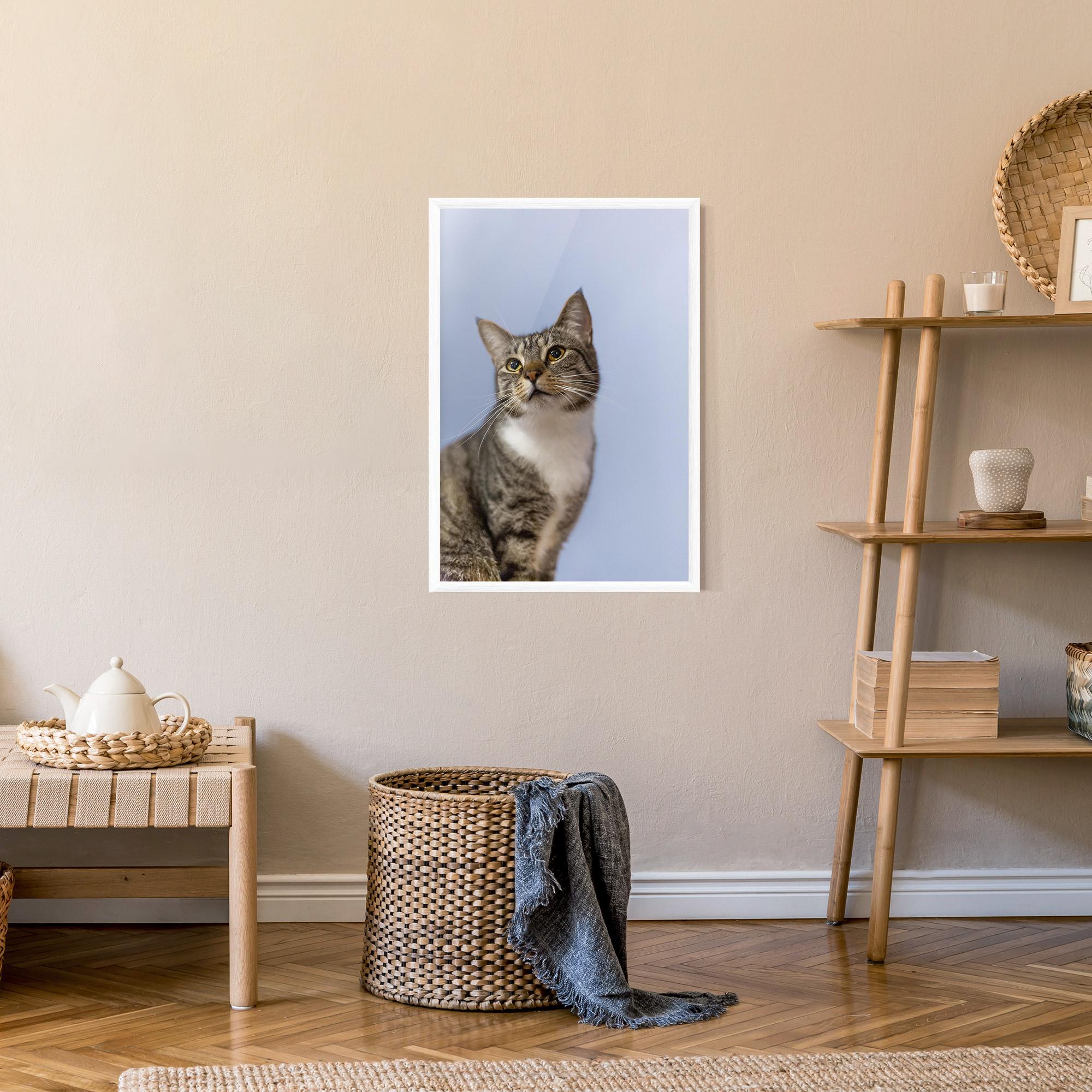 Keretezett Poszter Yellow Eyes Cat mockup 9
