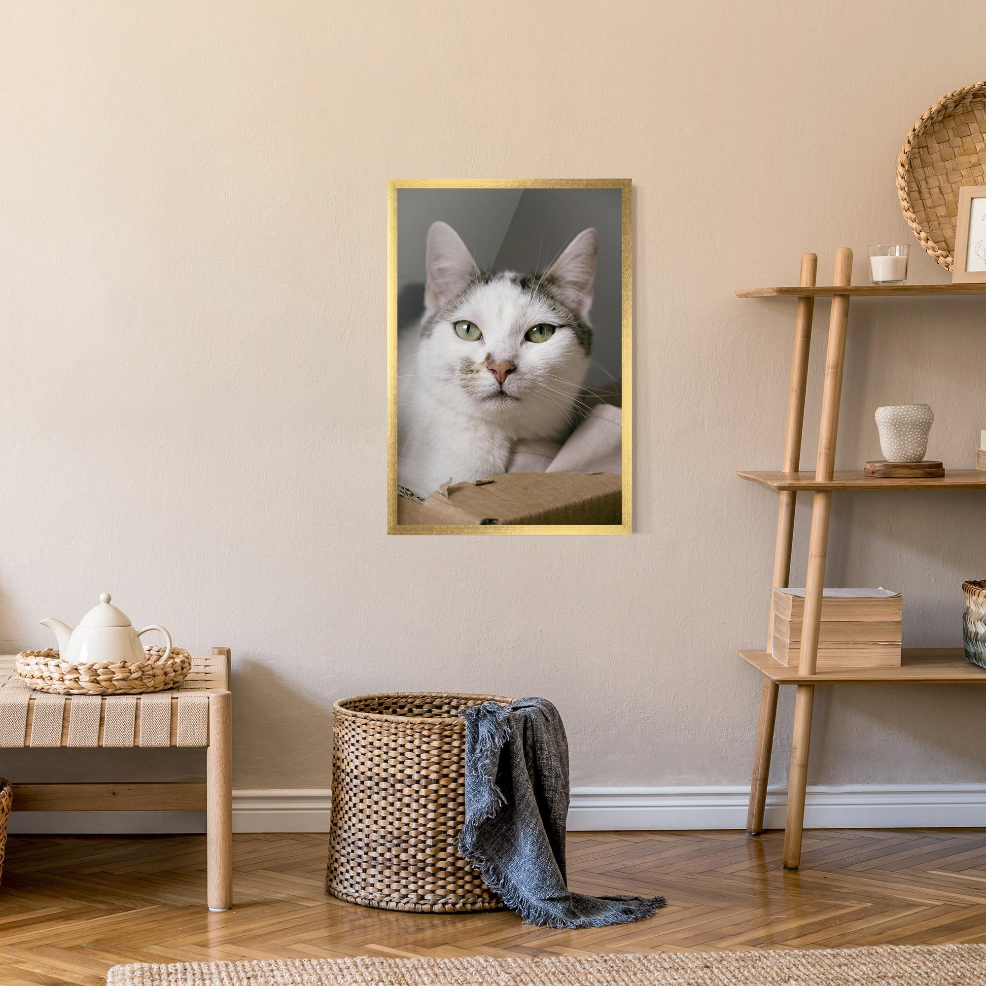 Keretezett Poszter Big Sleepy Cat mockup 9