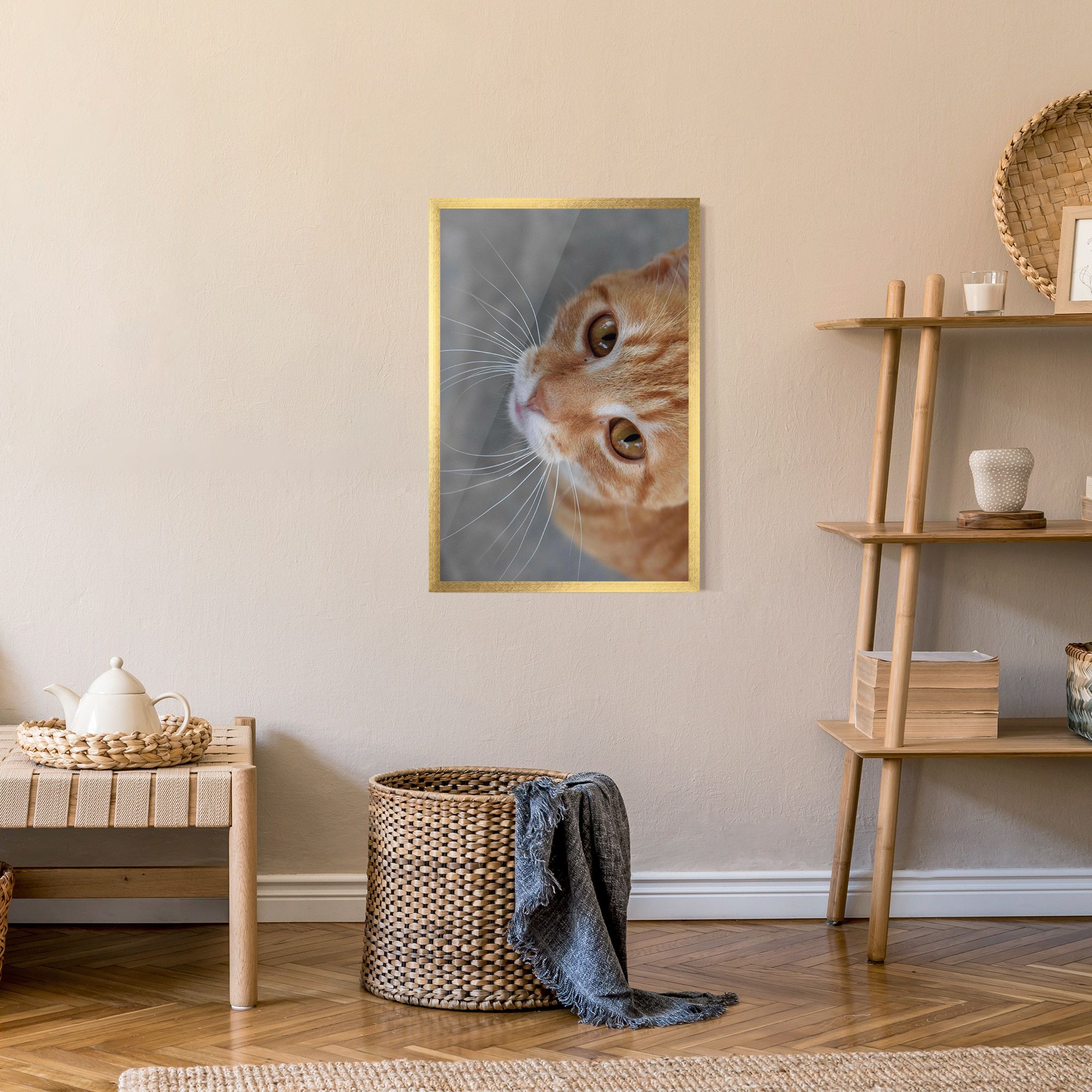 Pretty Orange Eyes Cat mockup 9