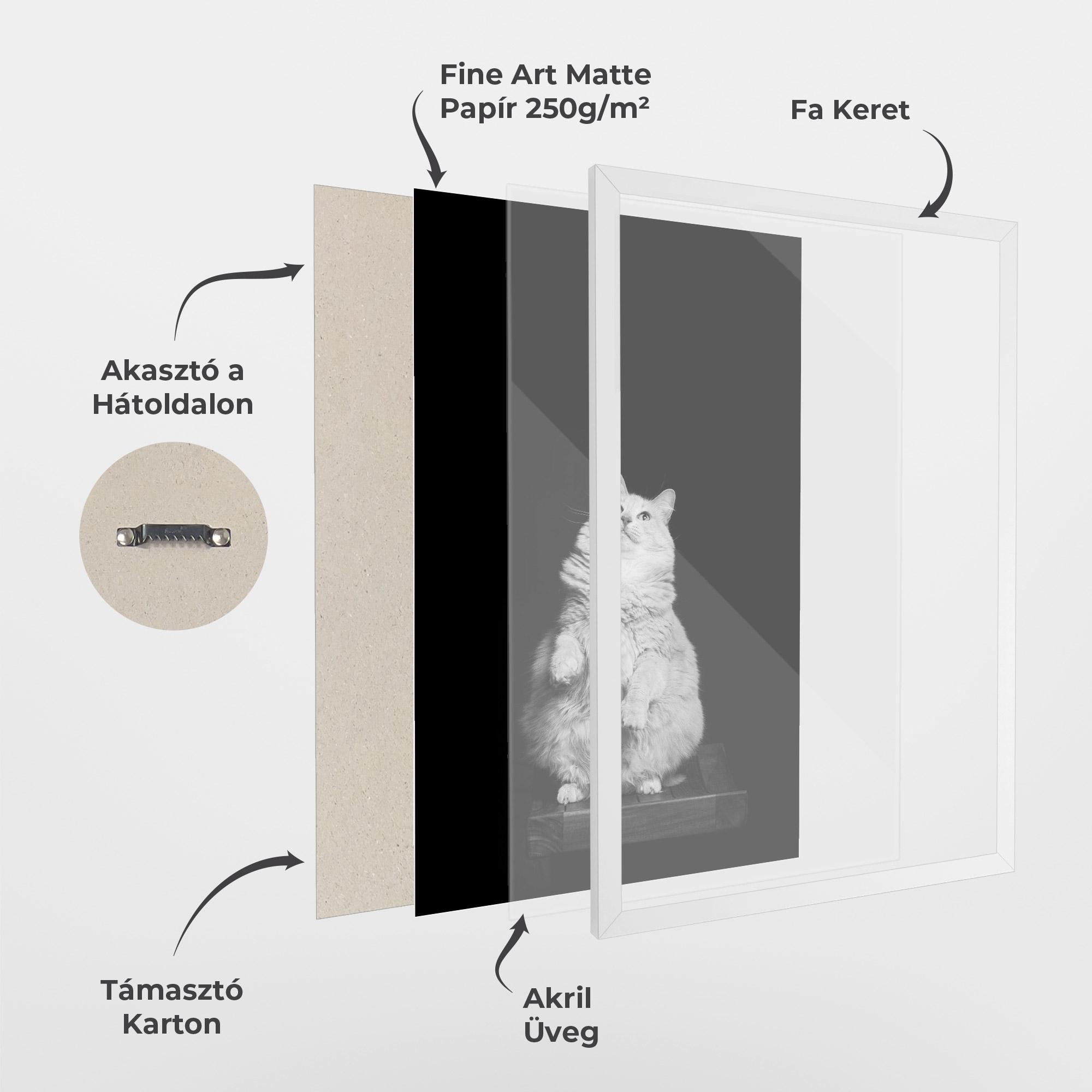 Keretezett Poszter Big Fluffy Cat mockup 1