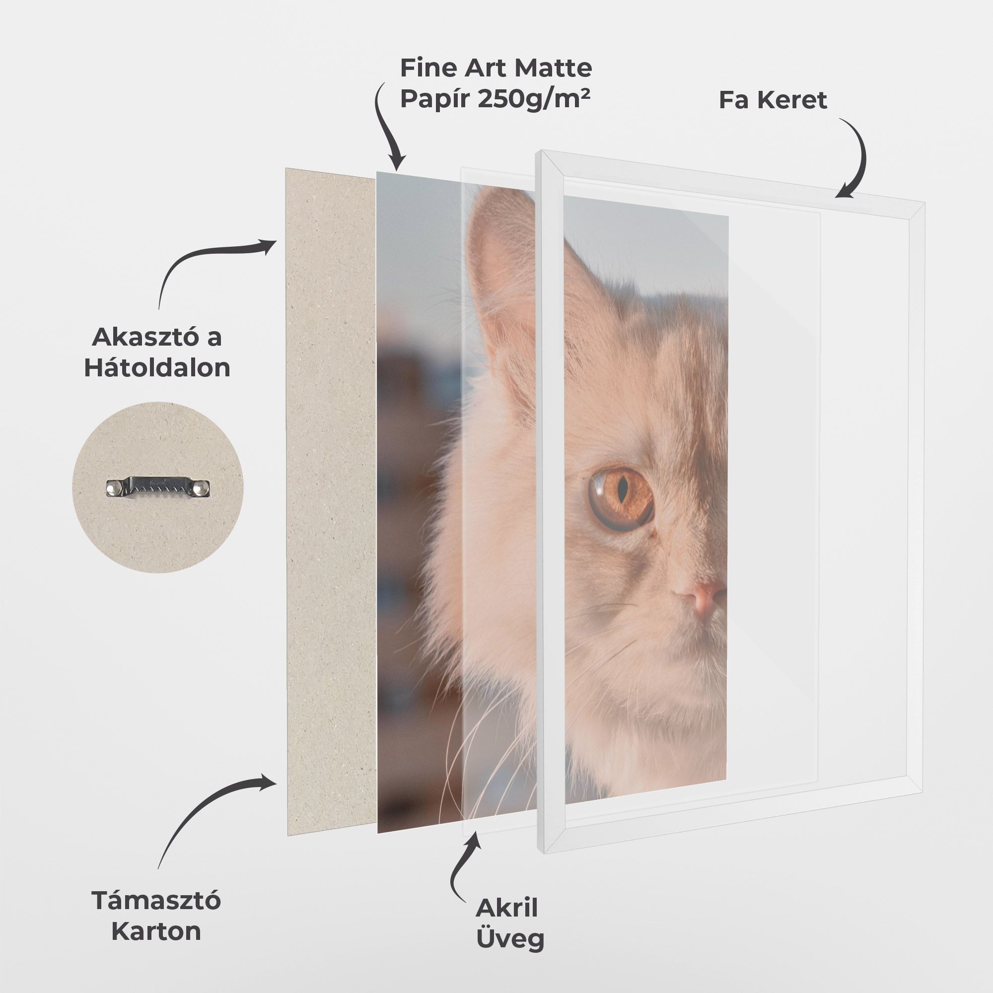 Cat Eye In Sun mockup 1