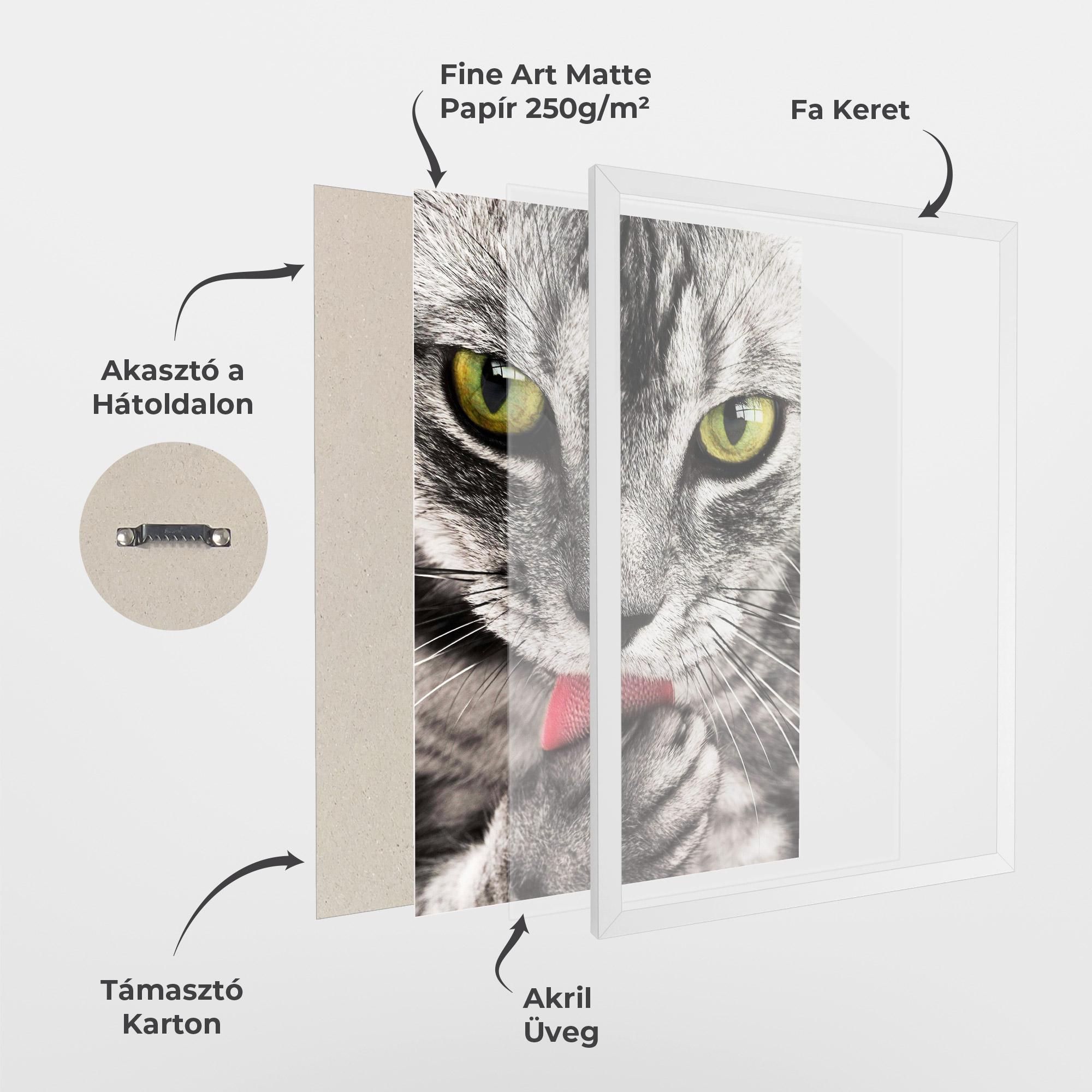 Keretezett Poszter Green Eyes Close Up Cat mockup 1