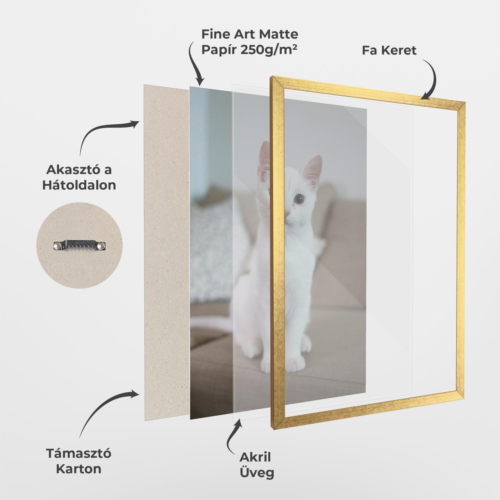 Keretezett Poszter Beautiful White Cat mockup 1