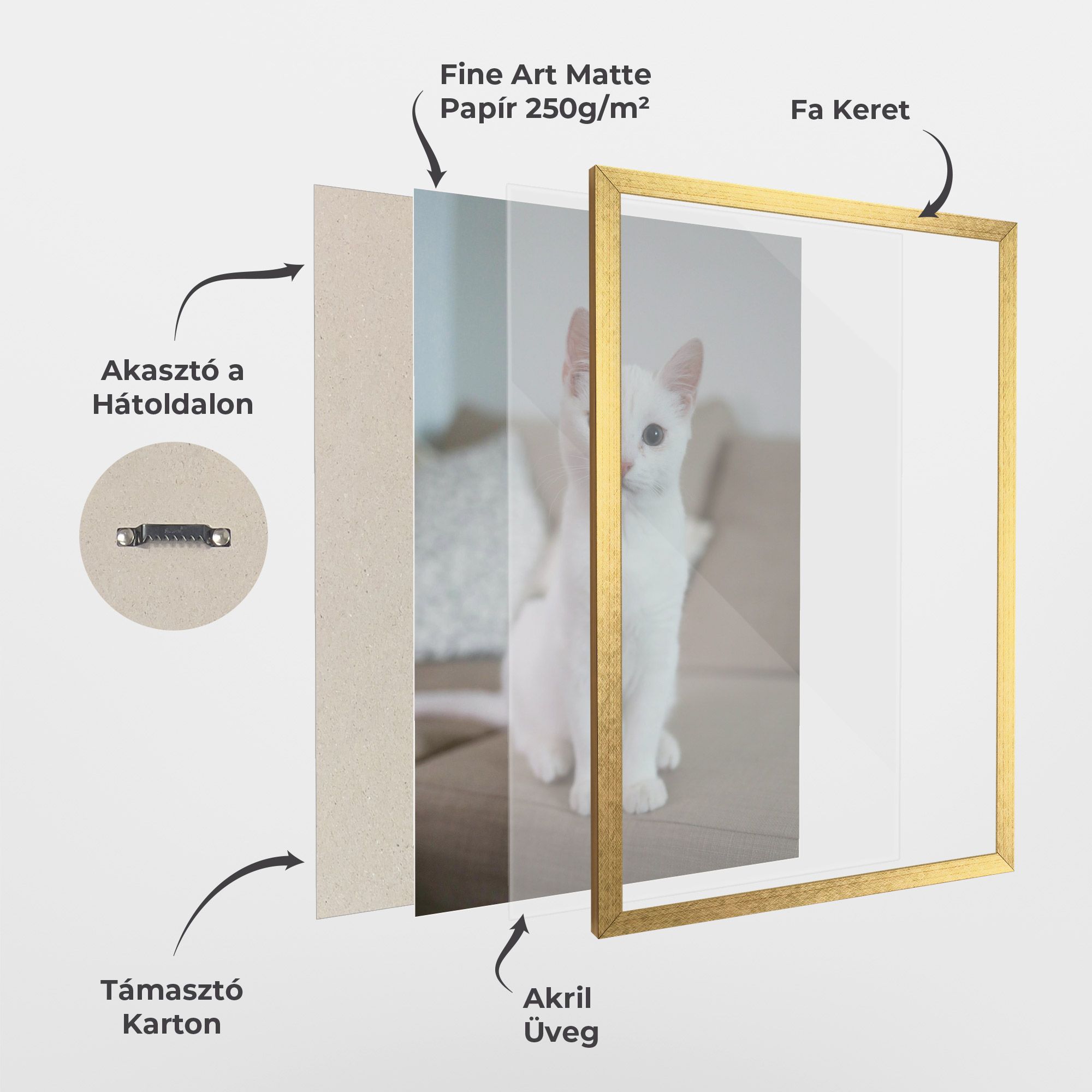 Beautiful White Cat mockup 1