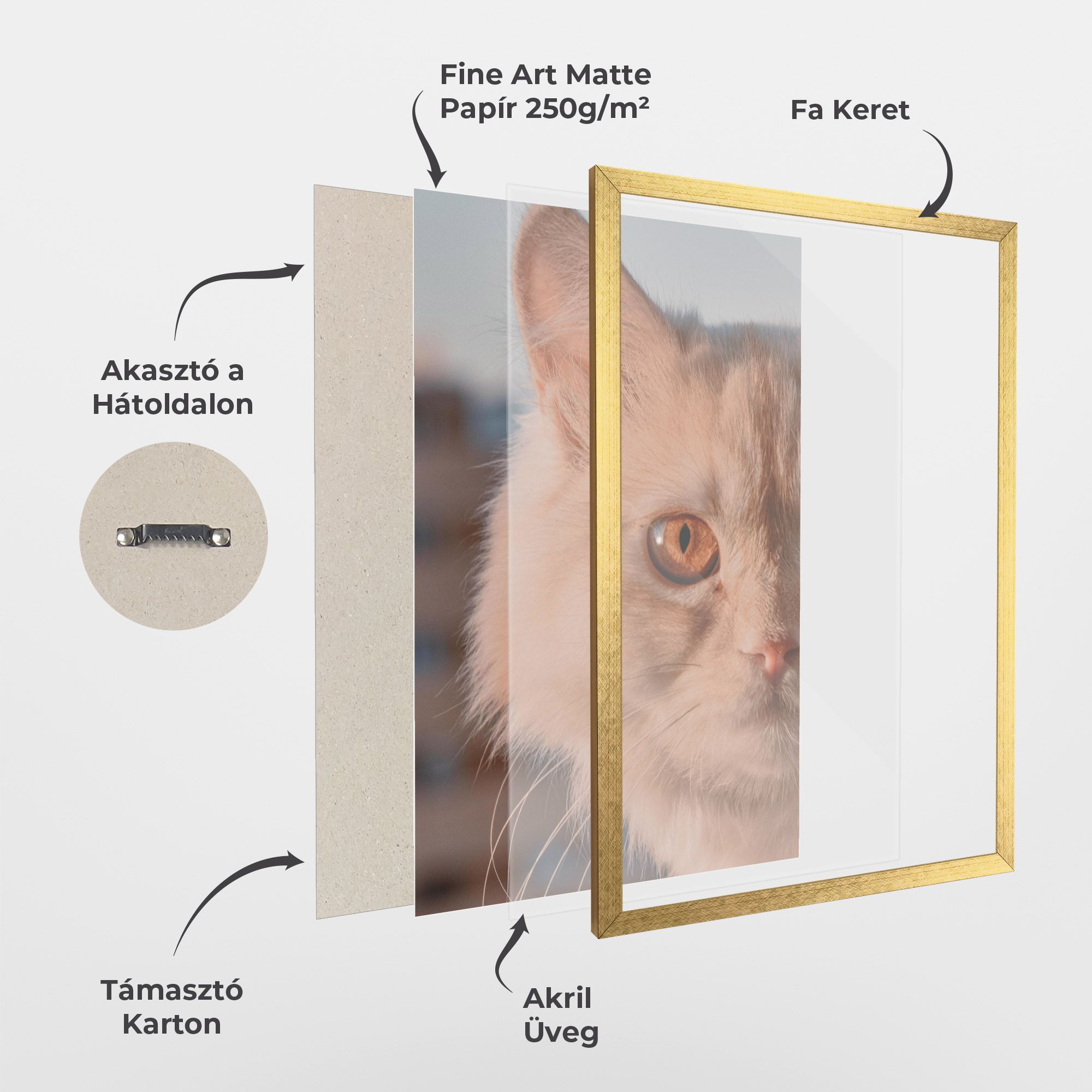 Cat Eye In Sun mockup 1