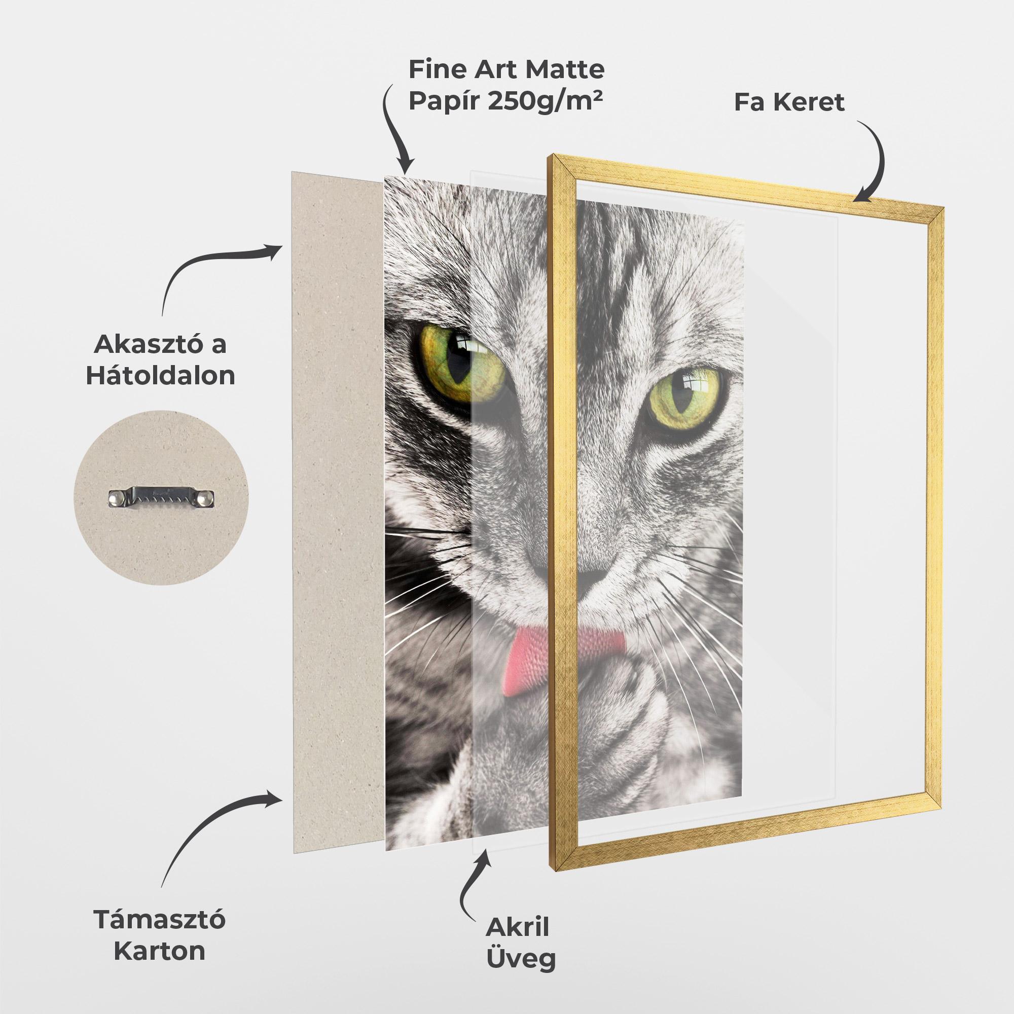 Keretezett Poszter Green Eyes Close Up Cat mockup 1