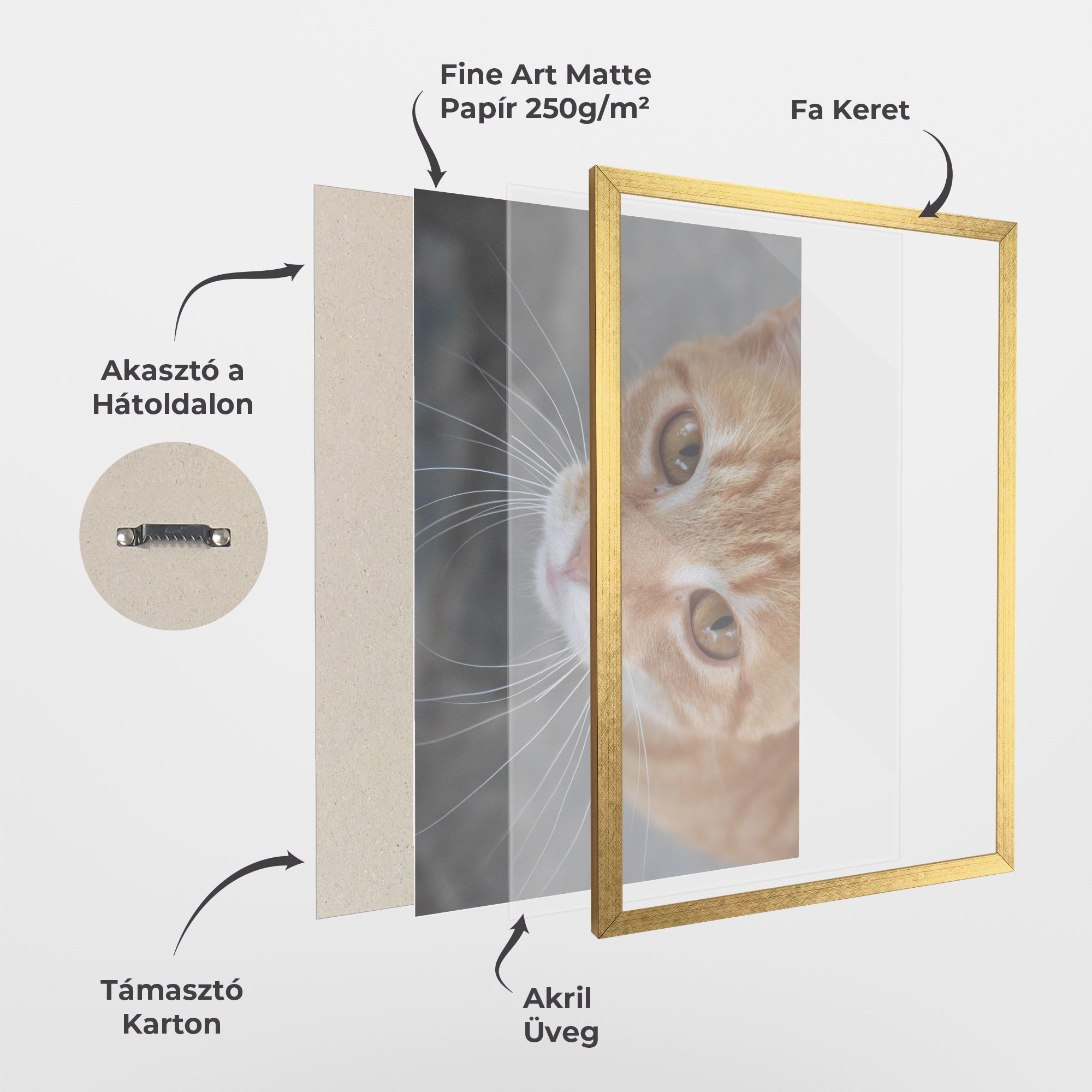 Pretty Orange Eyes Cat mockup 1
