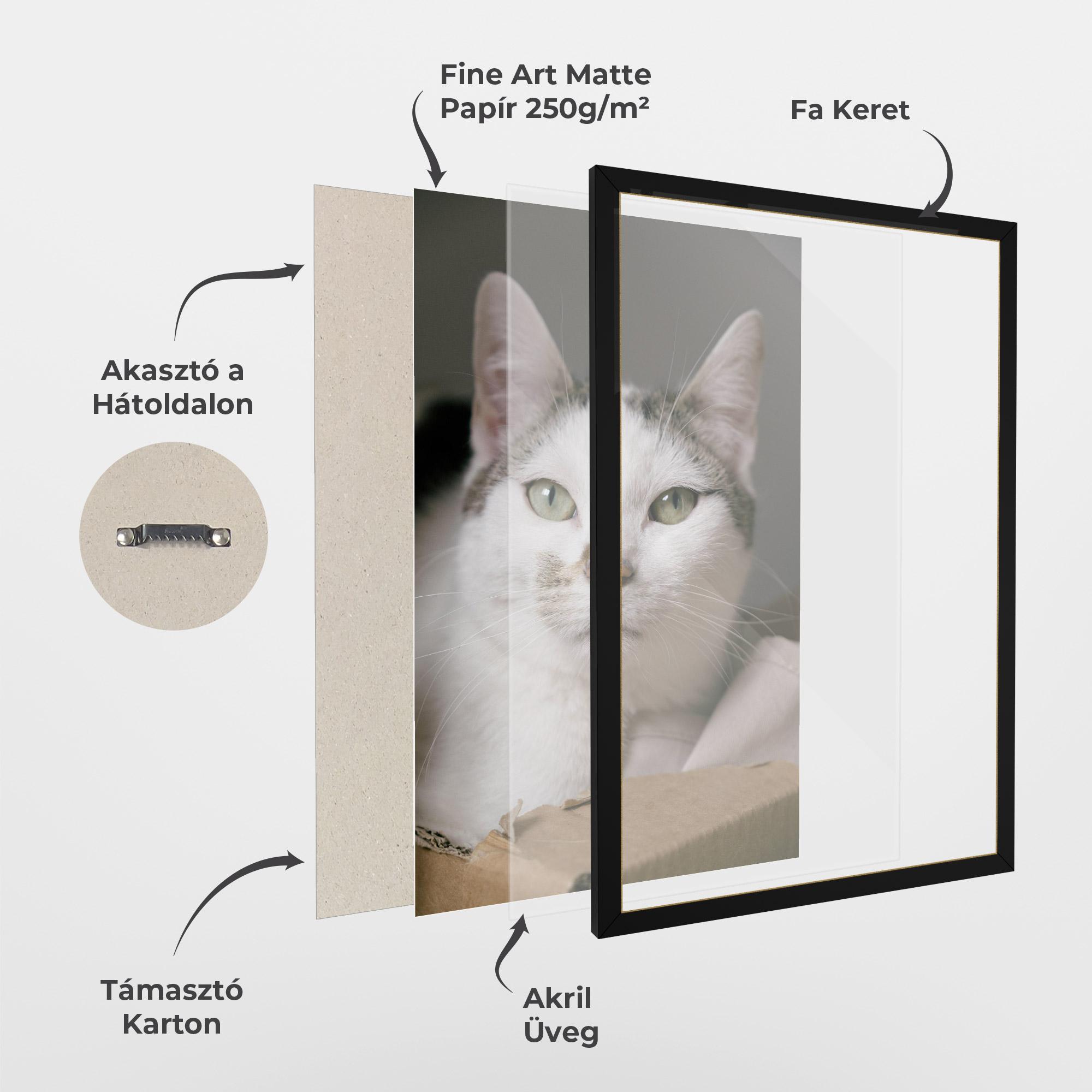 Keretezett Poszter Big Sleepy Cat mockup 1