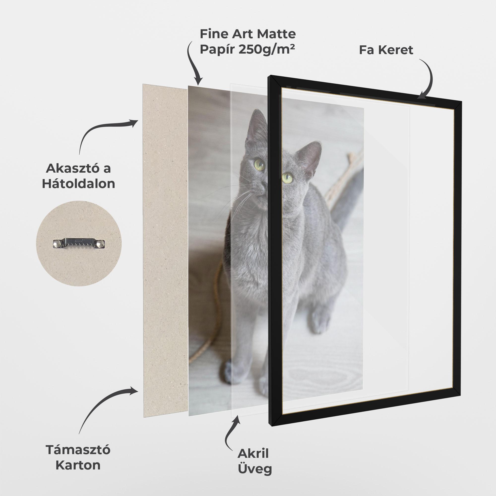 Keretezett Poszter Grey Green Cat Eyes mockup 1