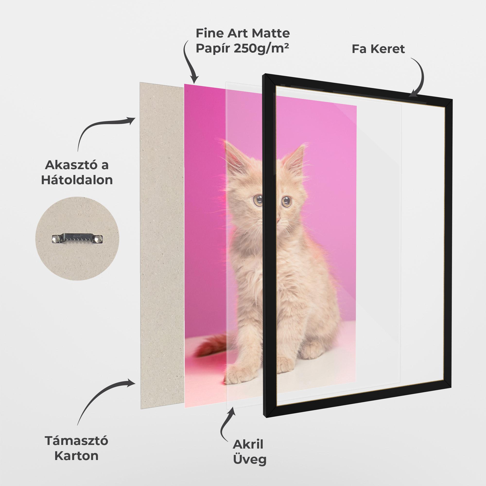 Keretezett Poszter Orange Cat On Pink mockup 1