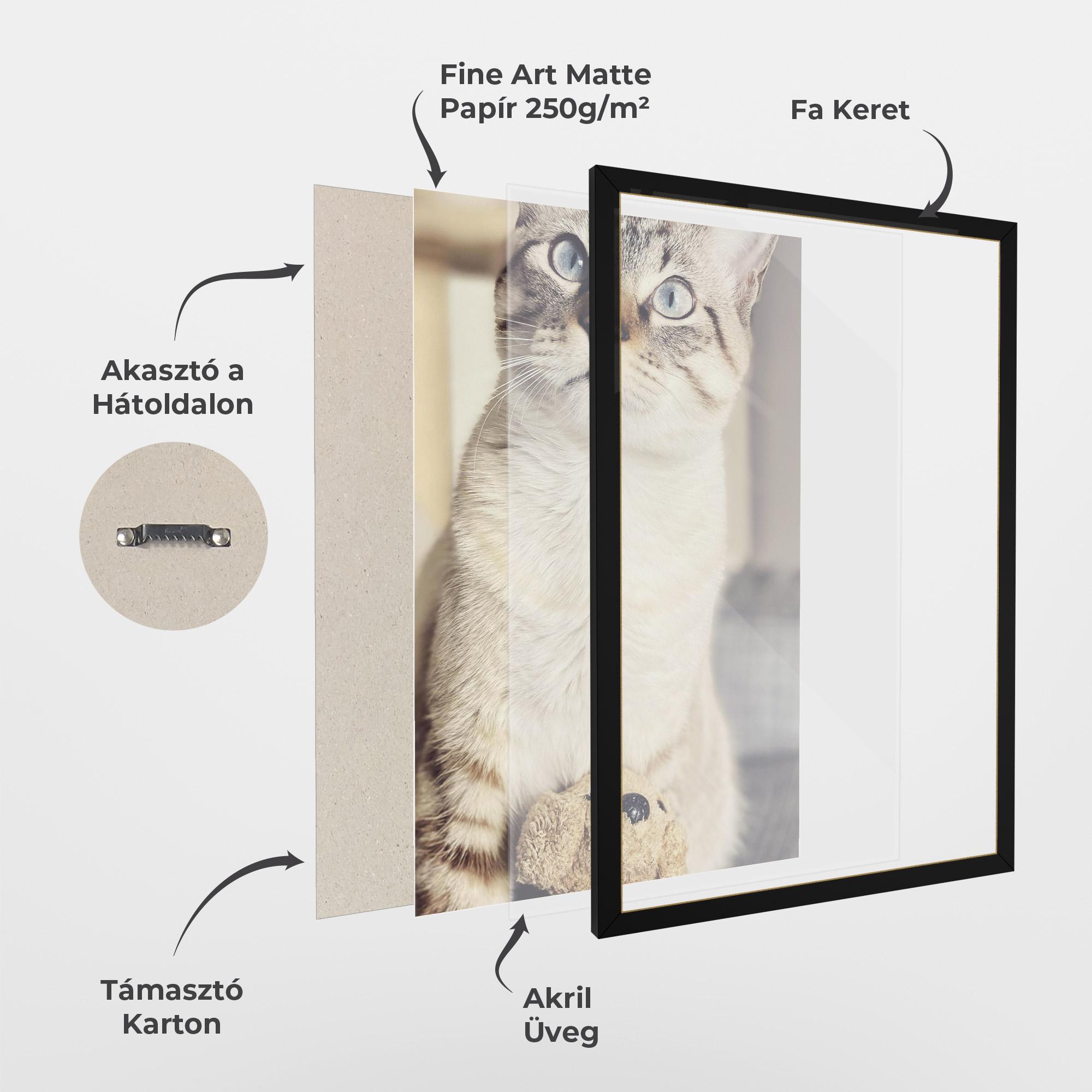 Keretezett Poszter Pretty Blue Eyes Cat mockup 1