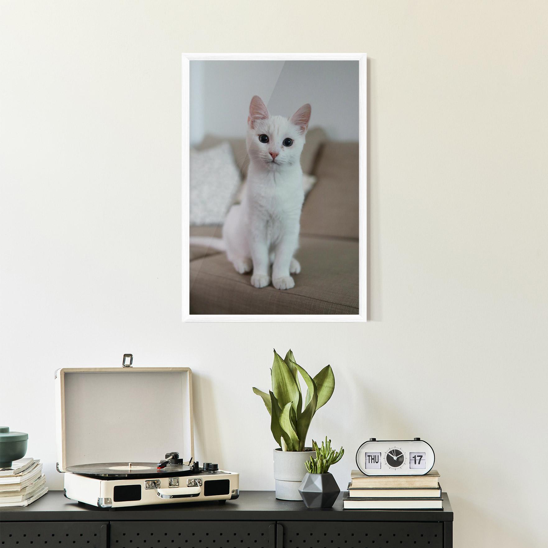 Keretezett Poszter Beautiful White Cat mockup 2