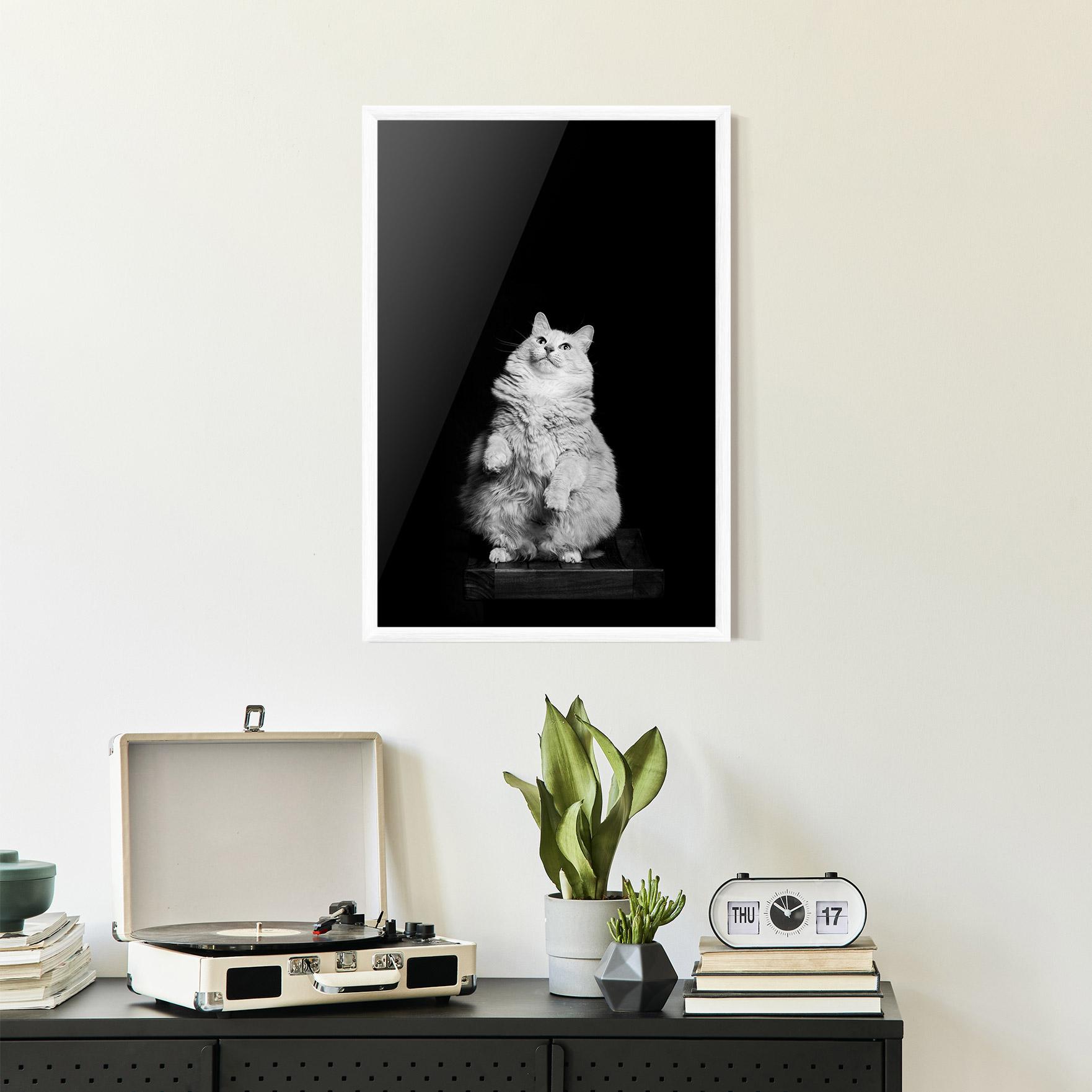 Keretezett Poszter Big Fluffy Cat mockup 2
