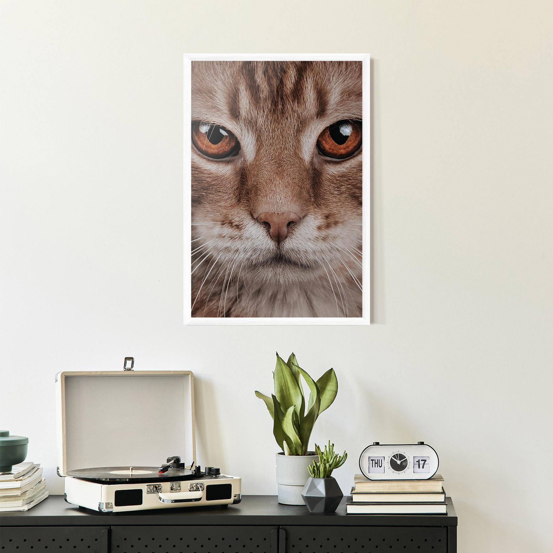 Keretezett Poszter Fire Eyes Cat mockup 2