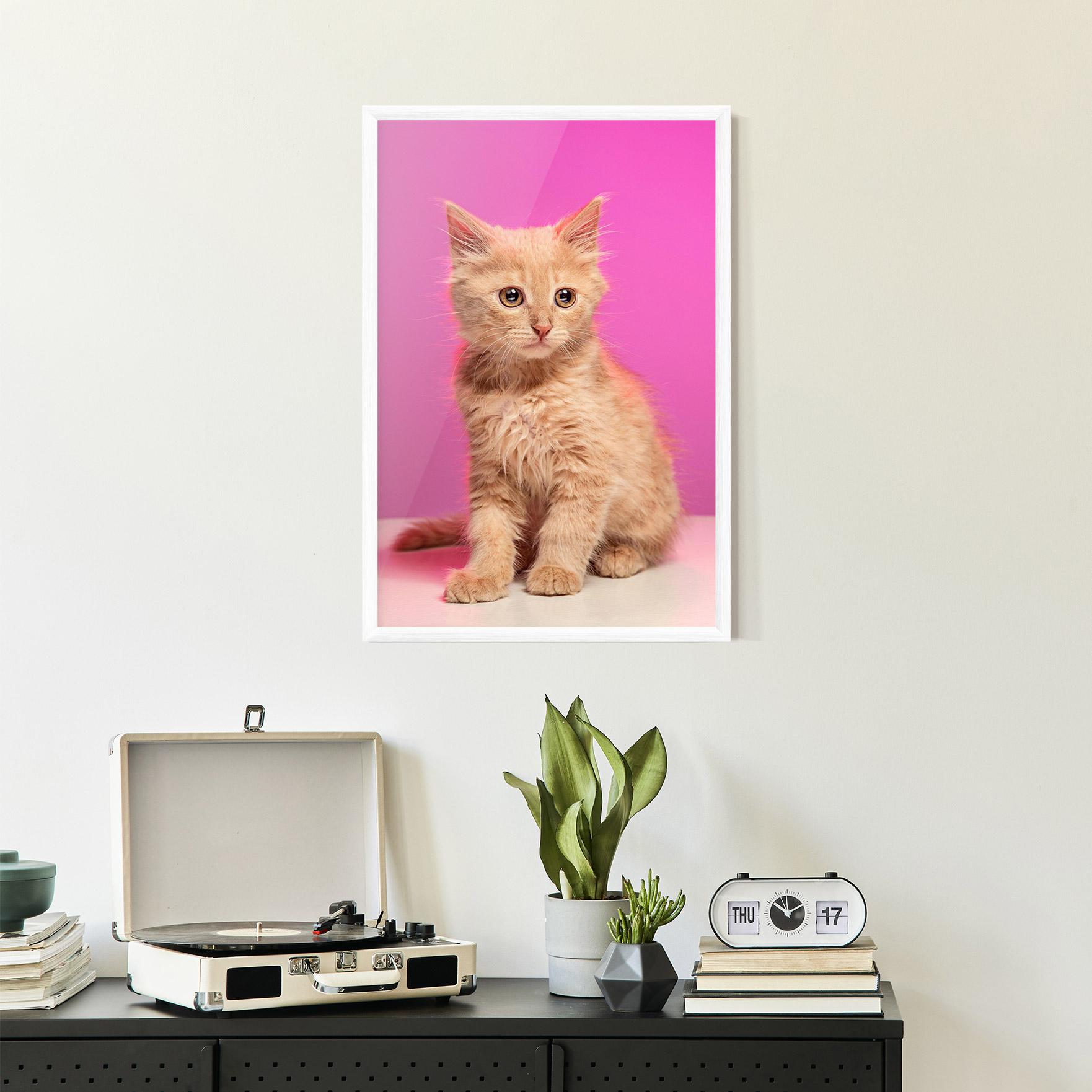 Keretezett Poszter Orange Cat On Pink mockup 2