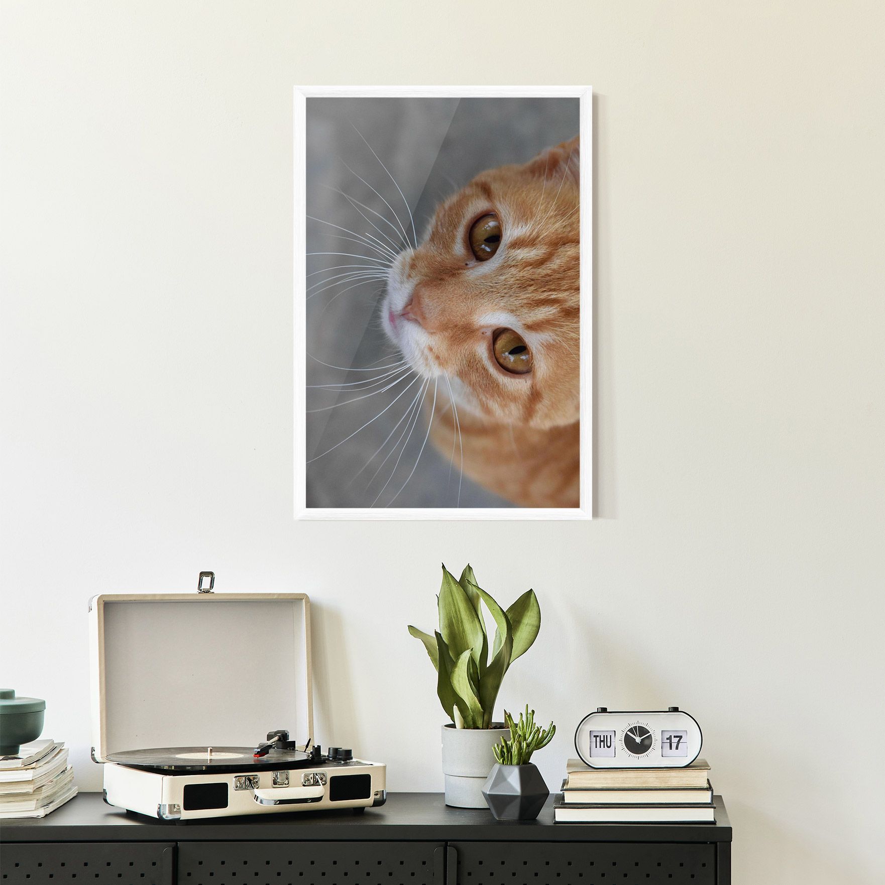 Pretty Orange Eyes Cat mockup 2