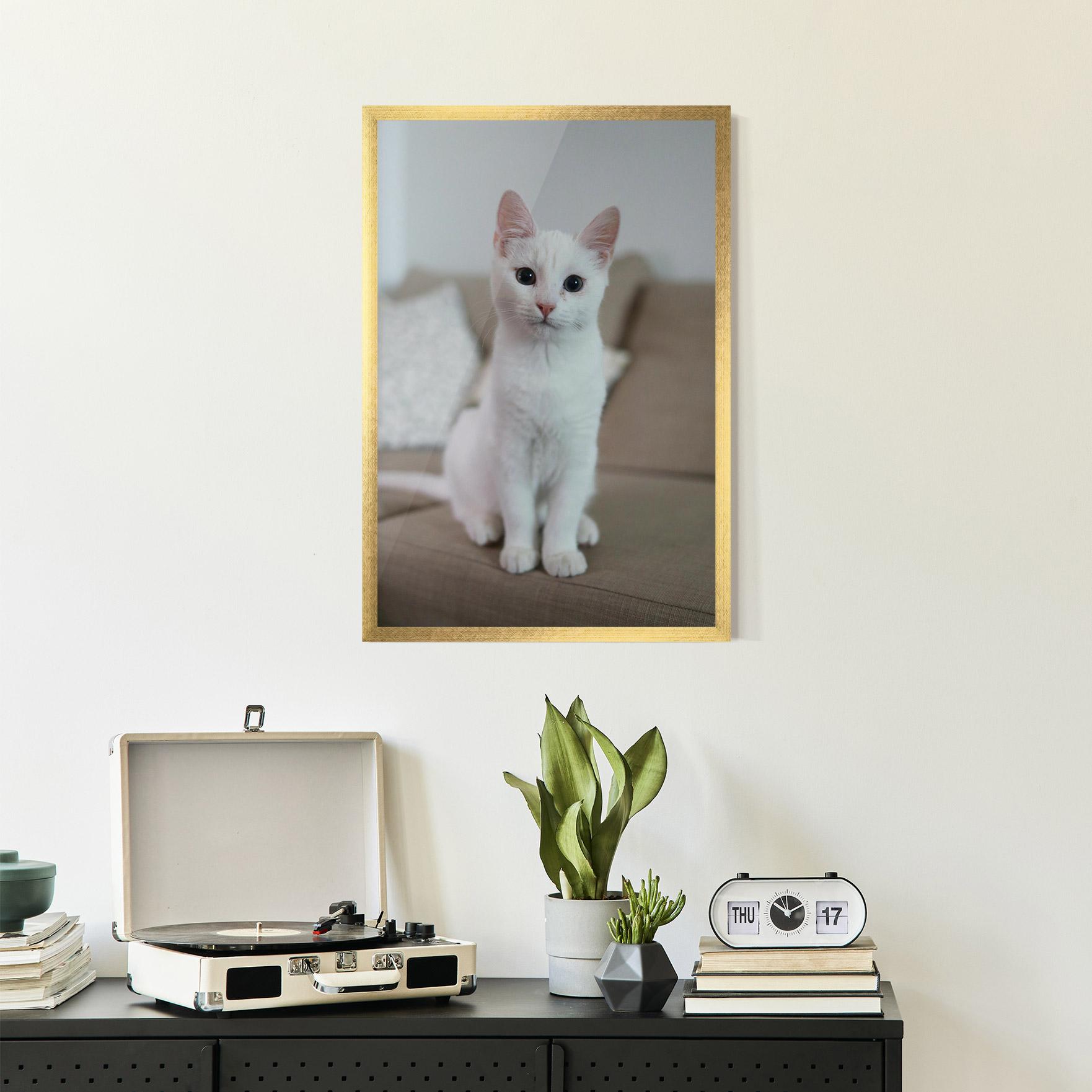 Keretezett Poszter Beautiful White Cat mockup 2