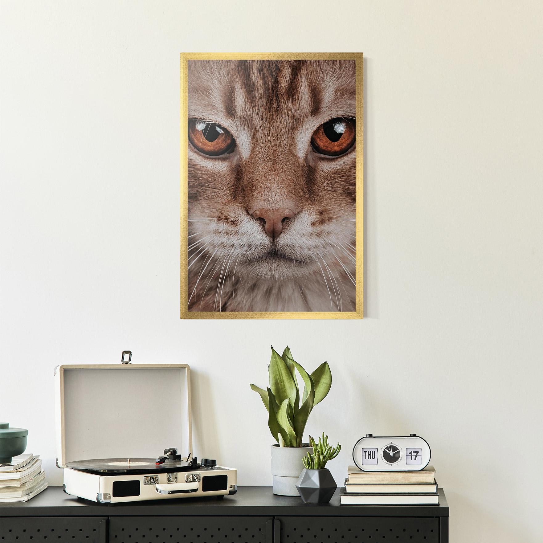 Keretezett Poszter Fire Eyes Cat mockup 2