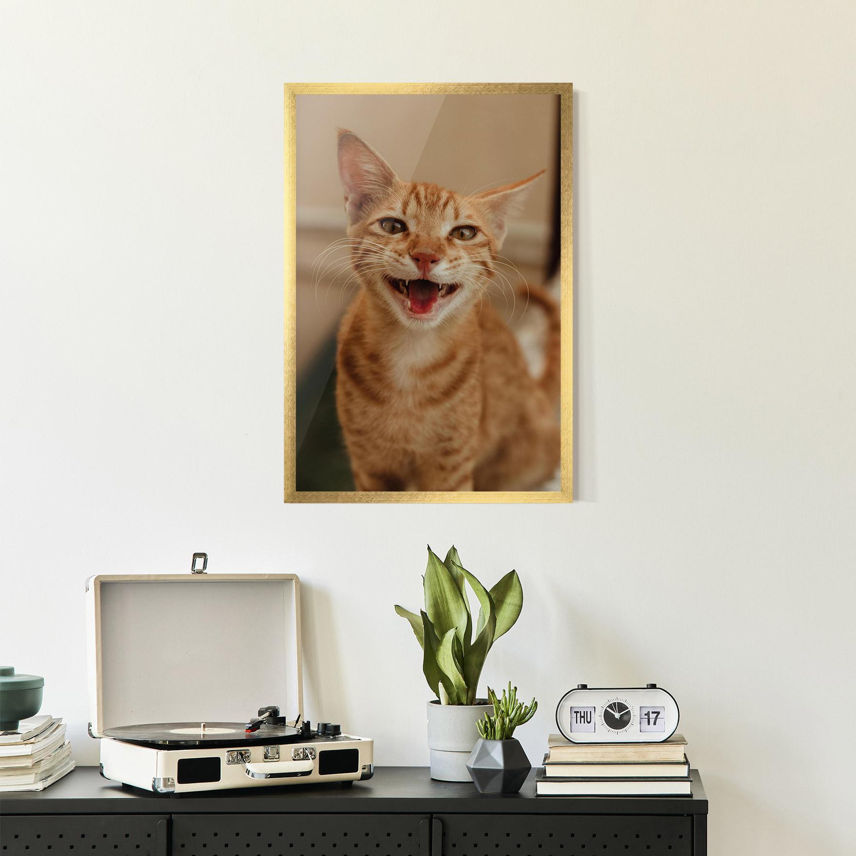 Keretezett Poszter Orange Cat Smiling mockup 2