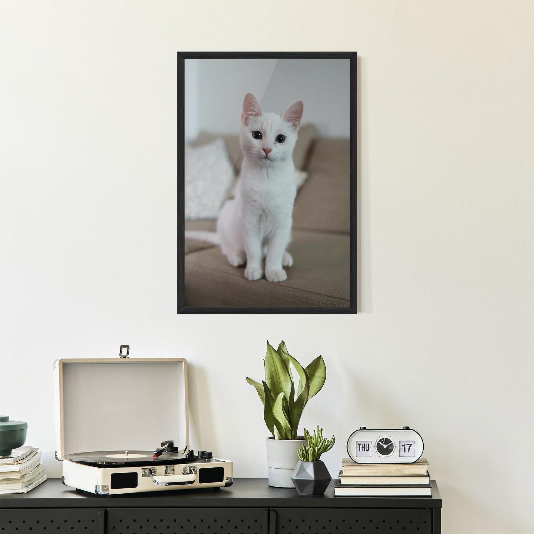 Keretezett Poszter Beautiful White Cat mockup 2