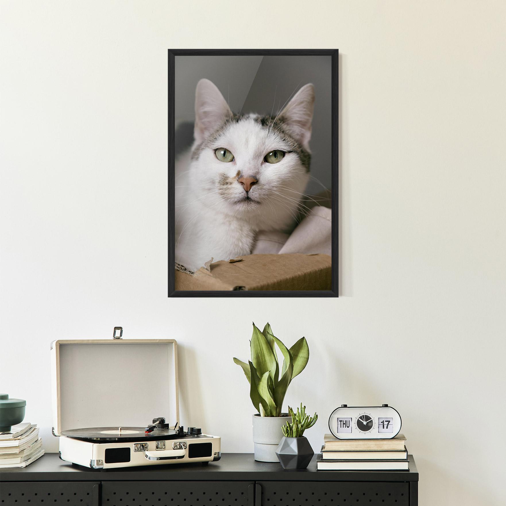 Keretezett Poszter Big Sleepy Cat mockup 2