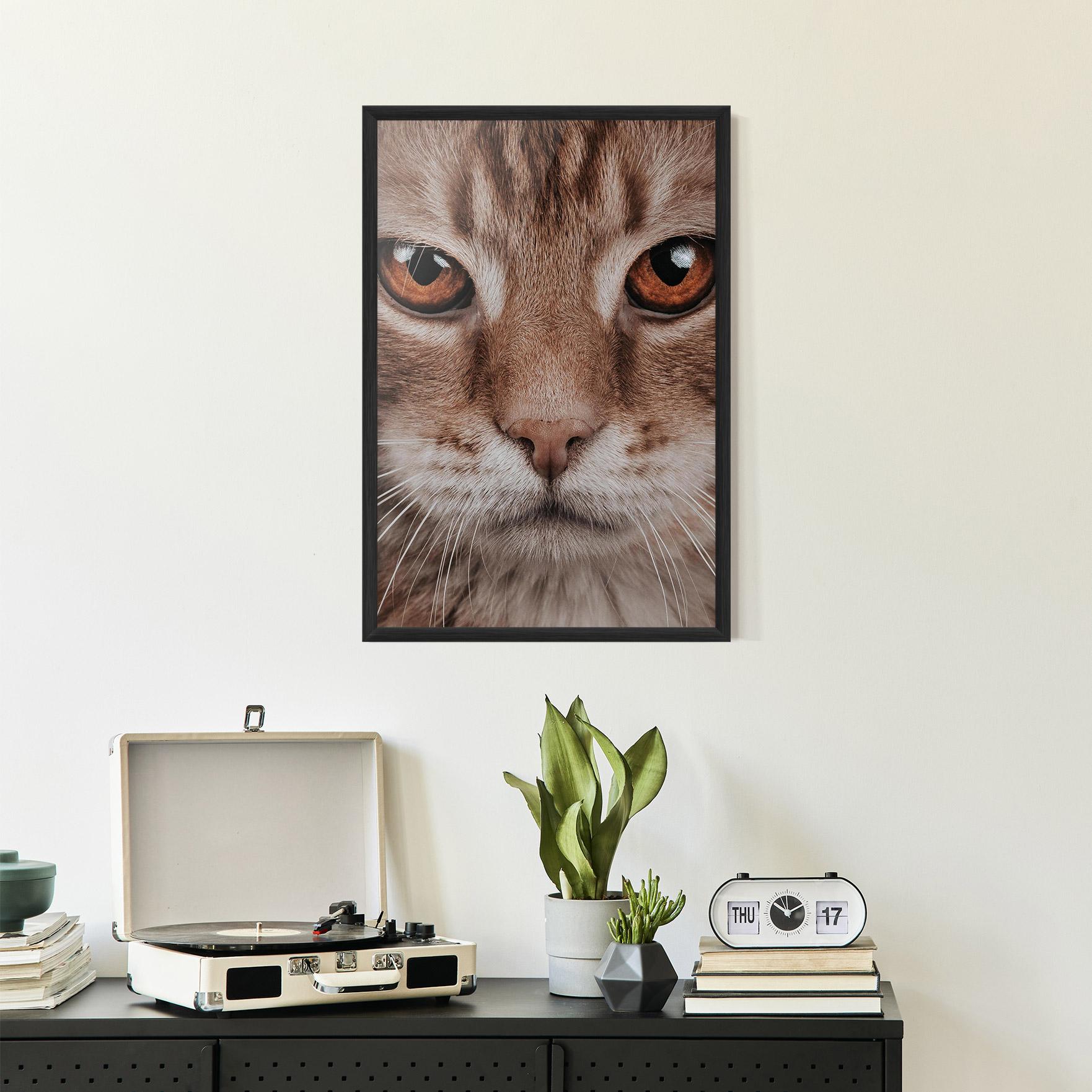 Keretezett Poszter Fire Eyes Cat mockup 2