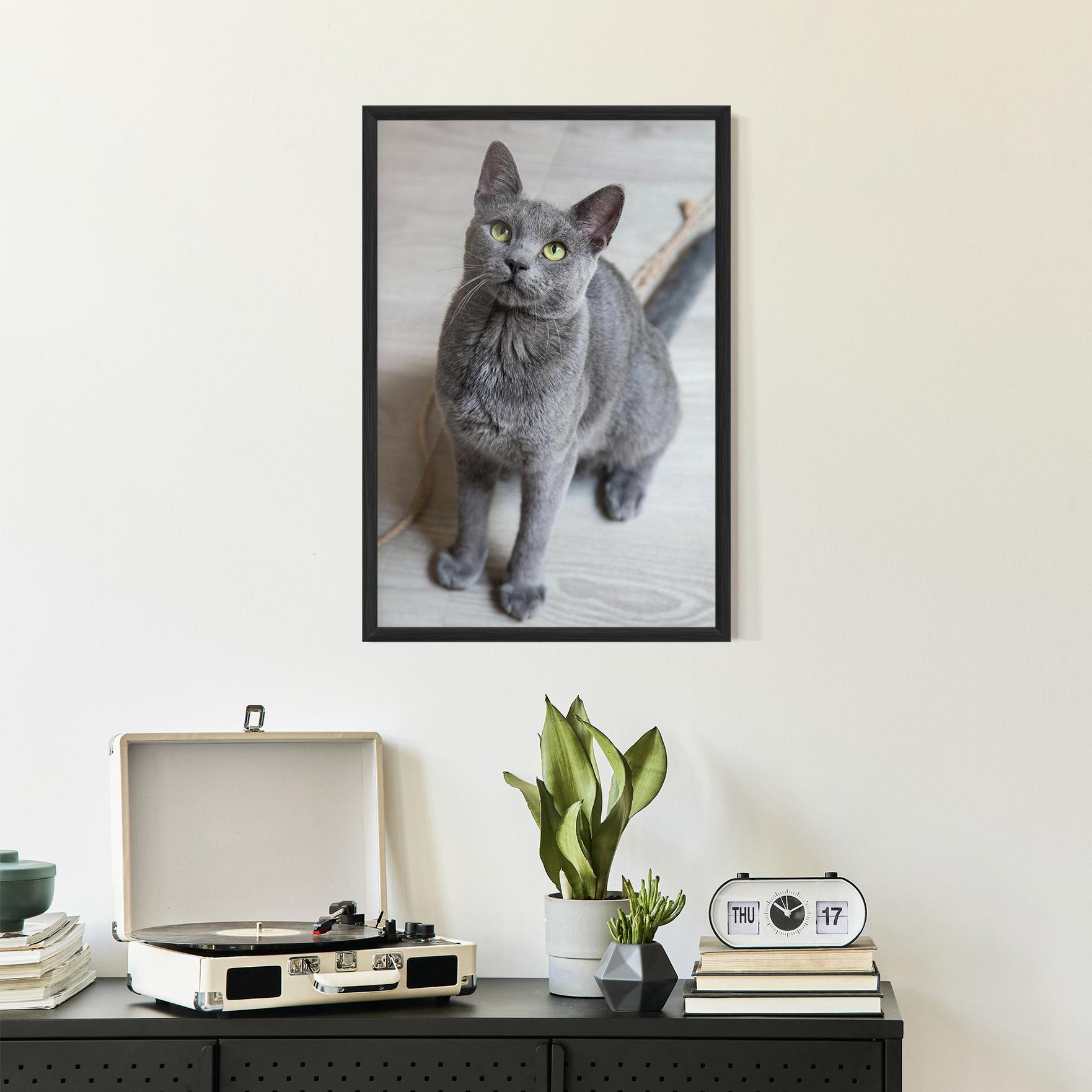Keretezett Poszter Grey Green Cat Eyes mockup 2