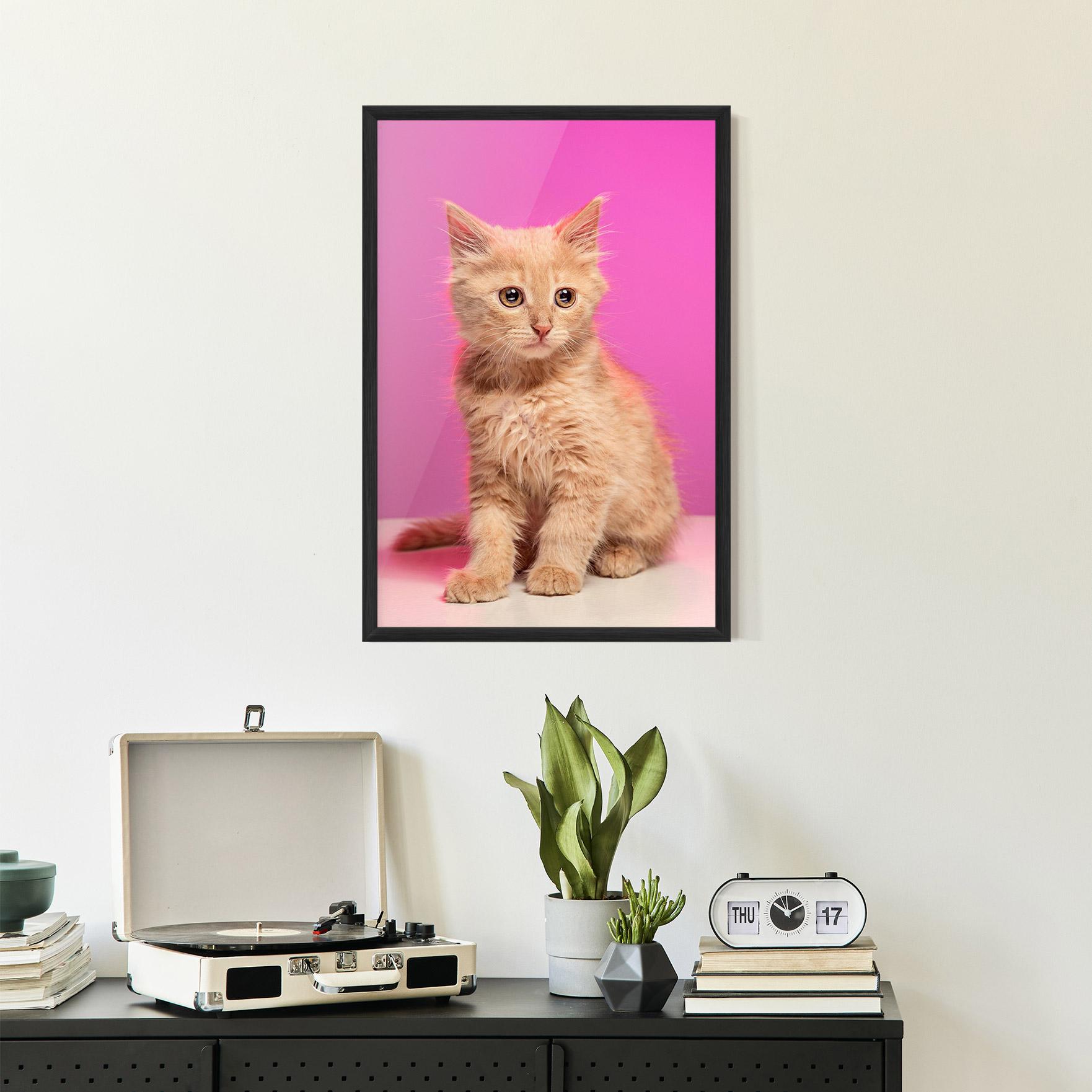 Keretezett Poszter Orange Cat On Pink mockup 2