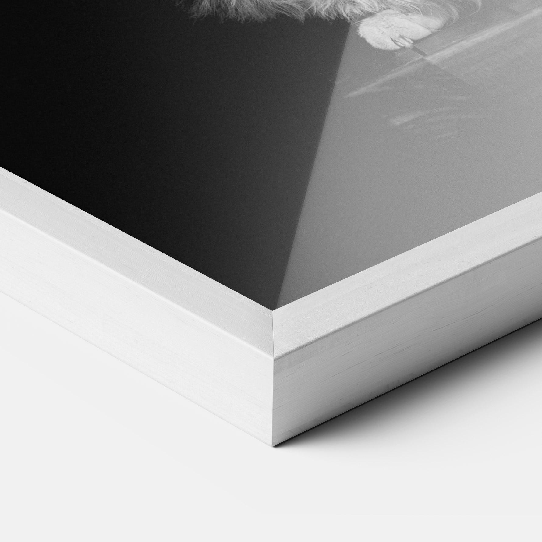 Keretezett Poszter Big Fluffy Cat mockup 3