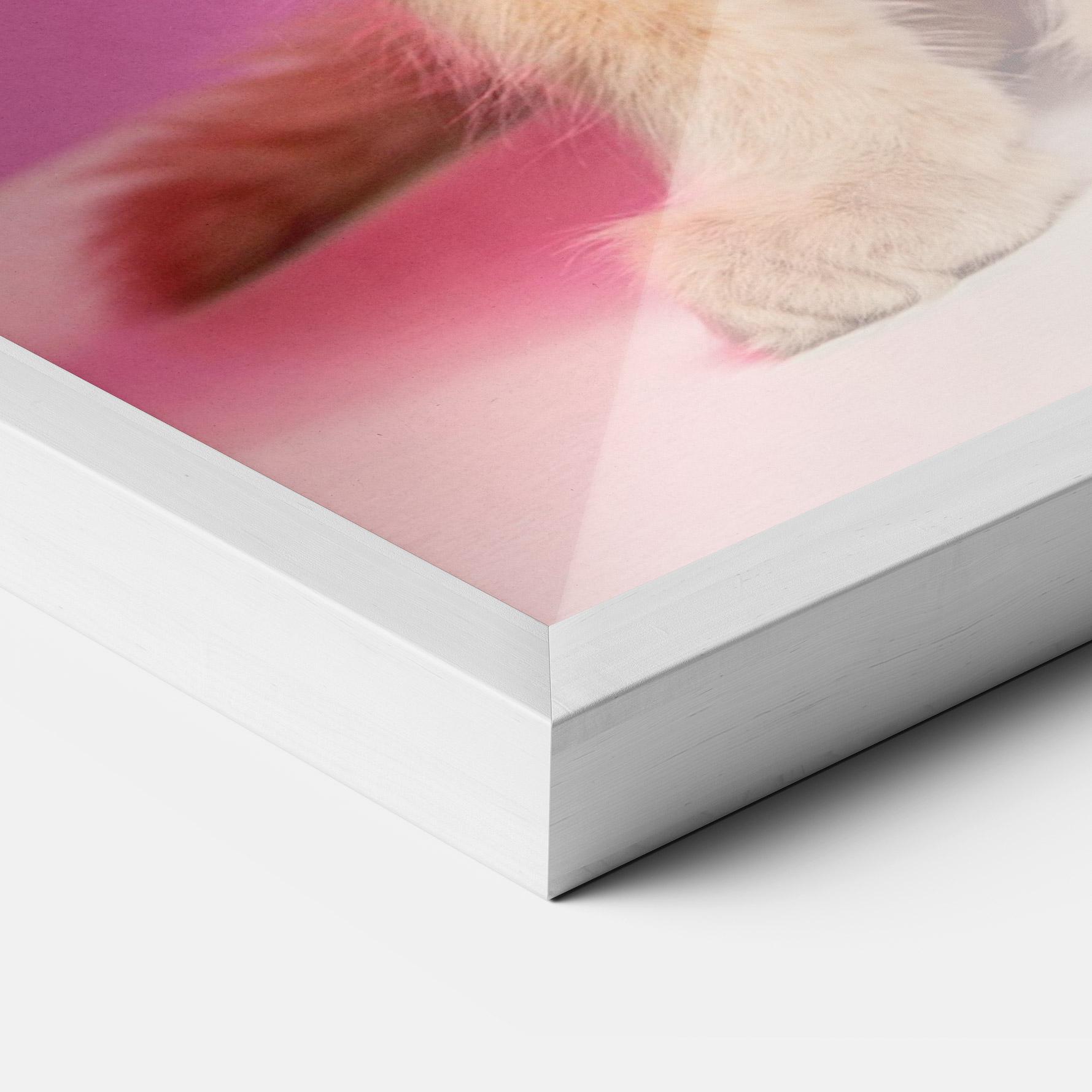 Keretezett Poszter Orange Cat On Pink mockup 3