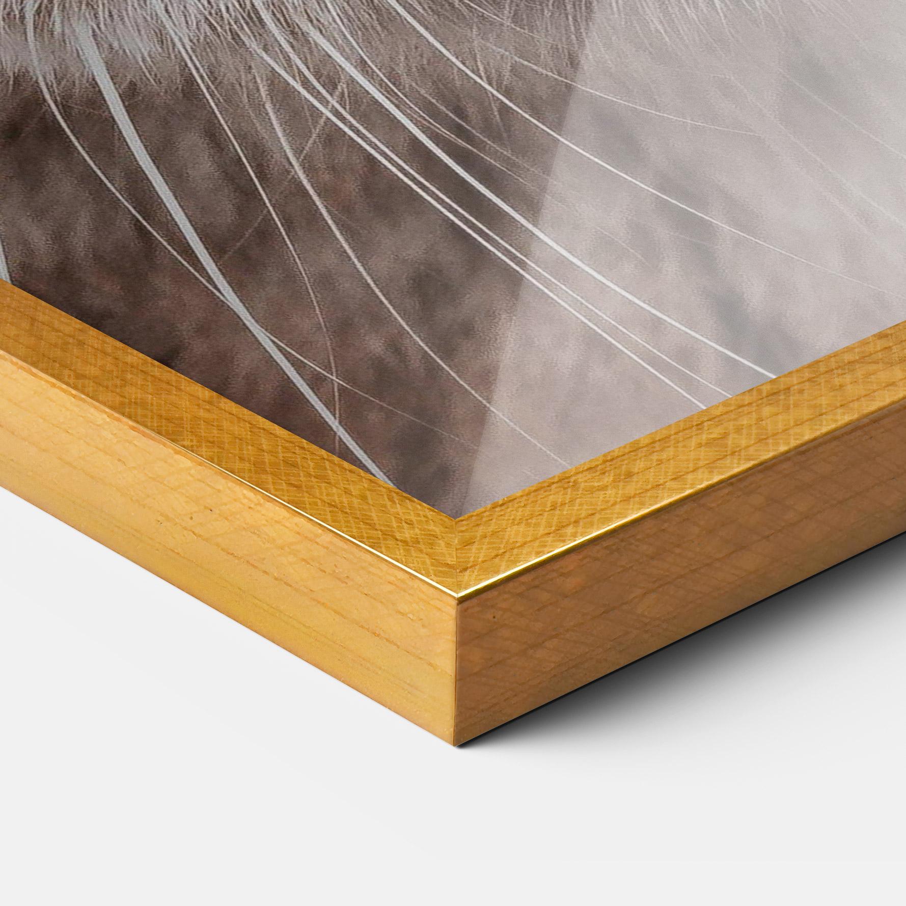 Keretezett Poszter Fire Eyes Cat mockup 3