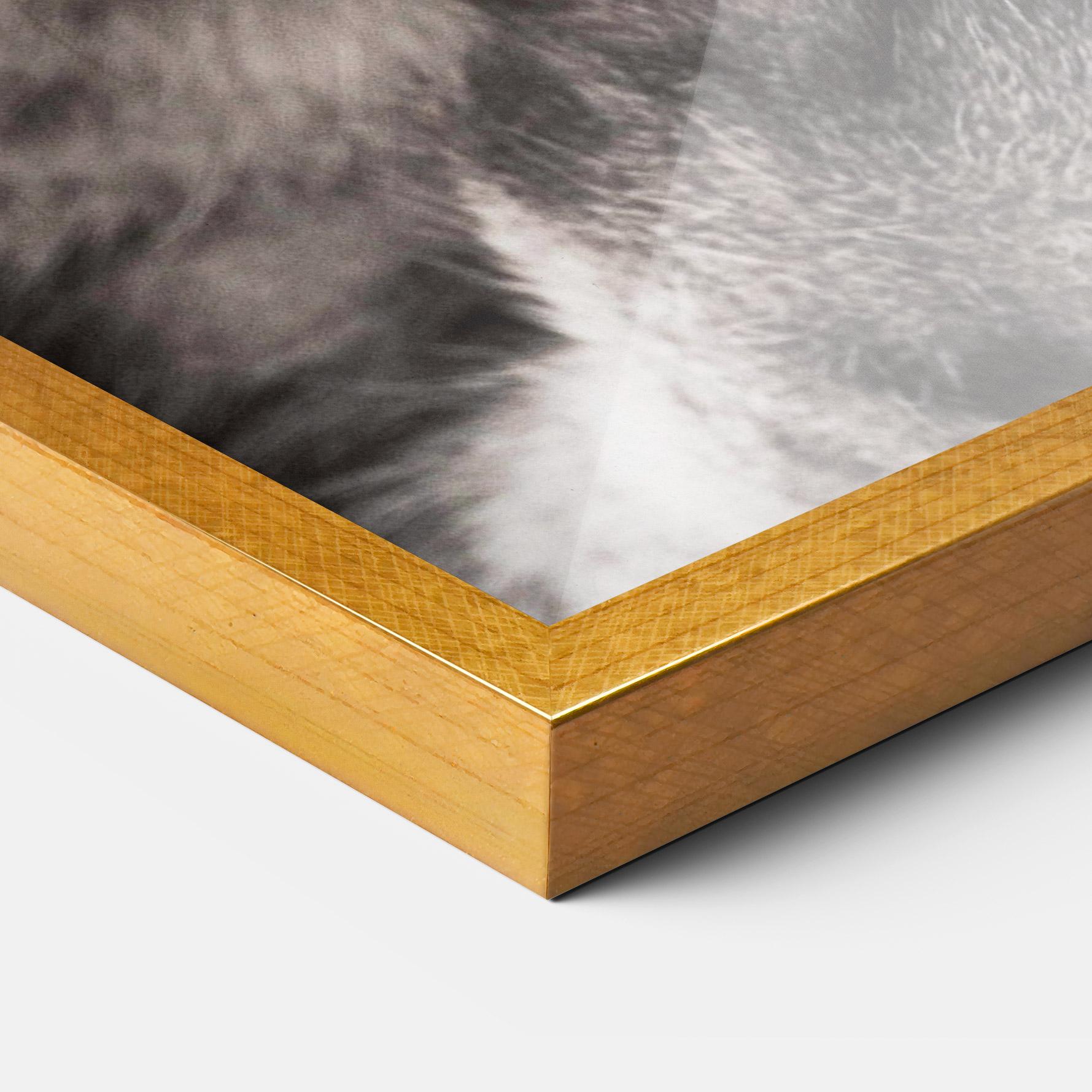 Keretezett Poszter Green Eyes Close Up Cat mockup 3