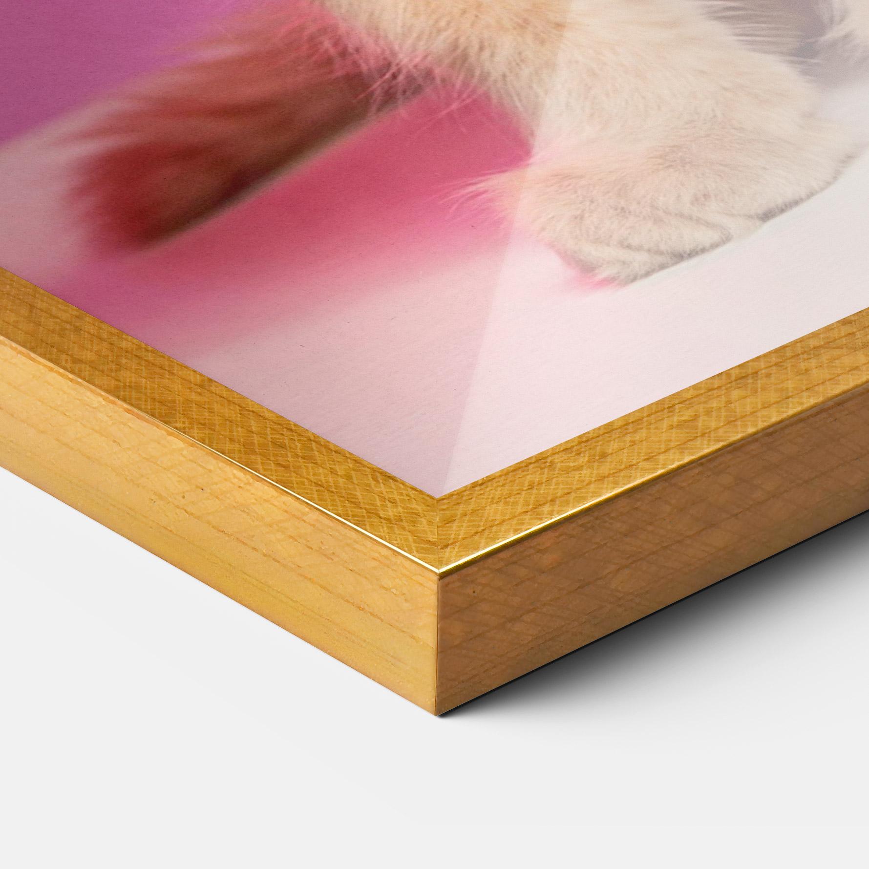 Keretezett Poszter Orange Cat On Pink mockup 3