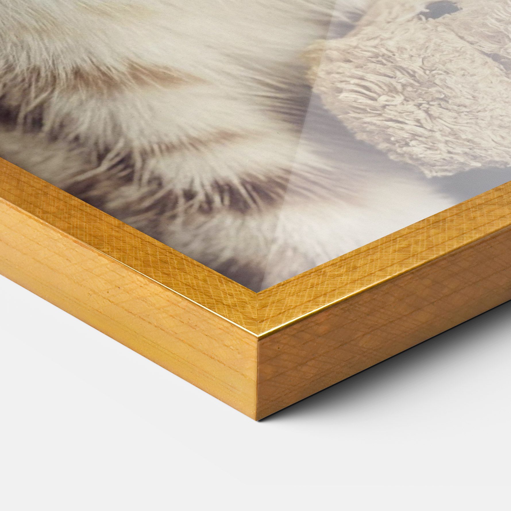 Pretty Blue Eyes Cat mockup 3