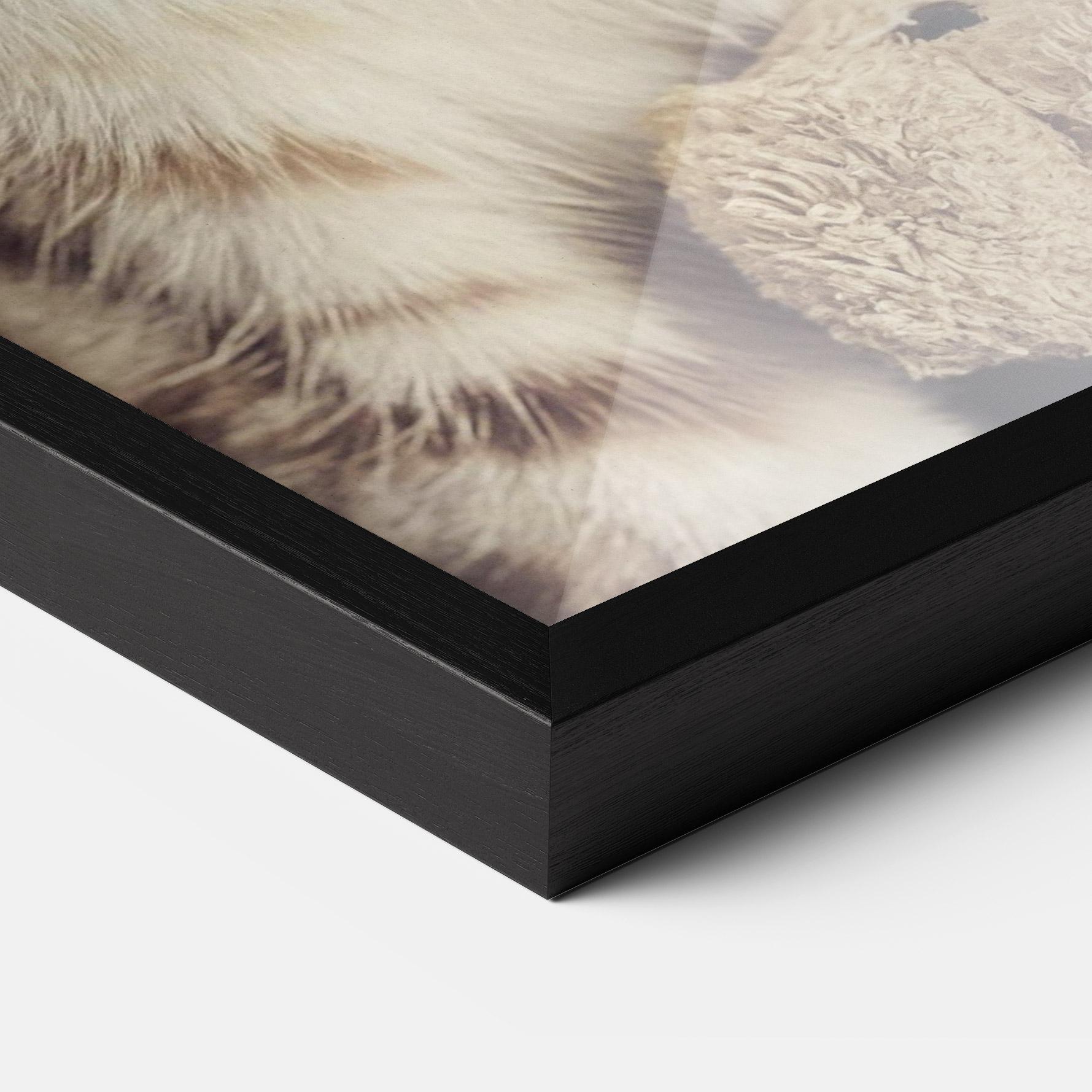 Keretezett Poszter Pretty Blue Eyes Cat mockup 3